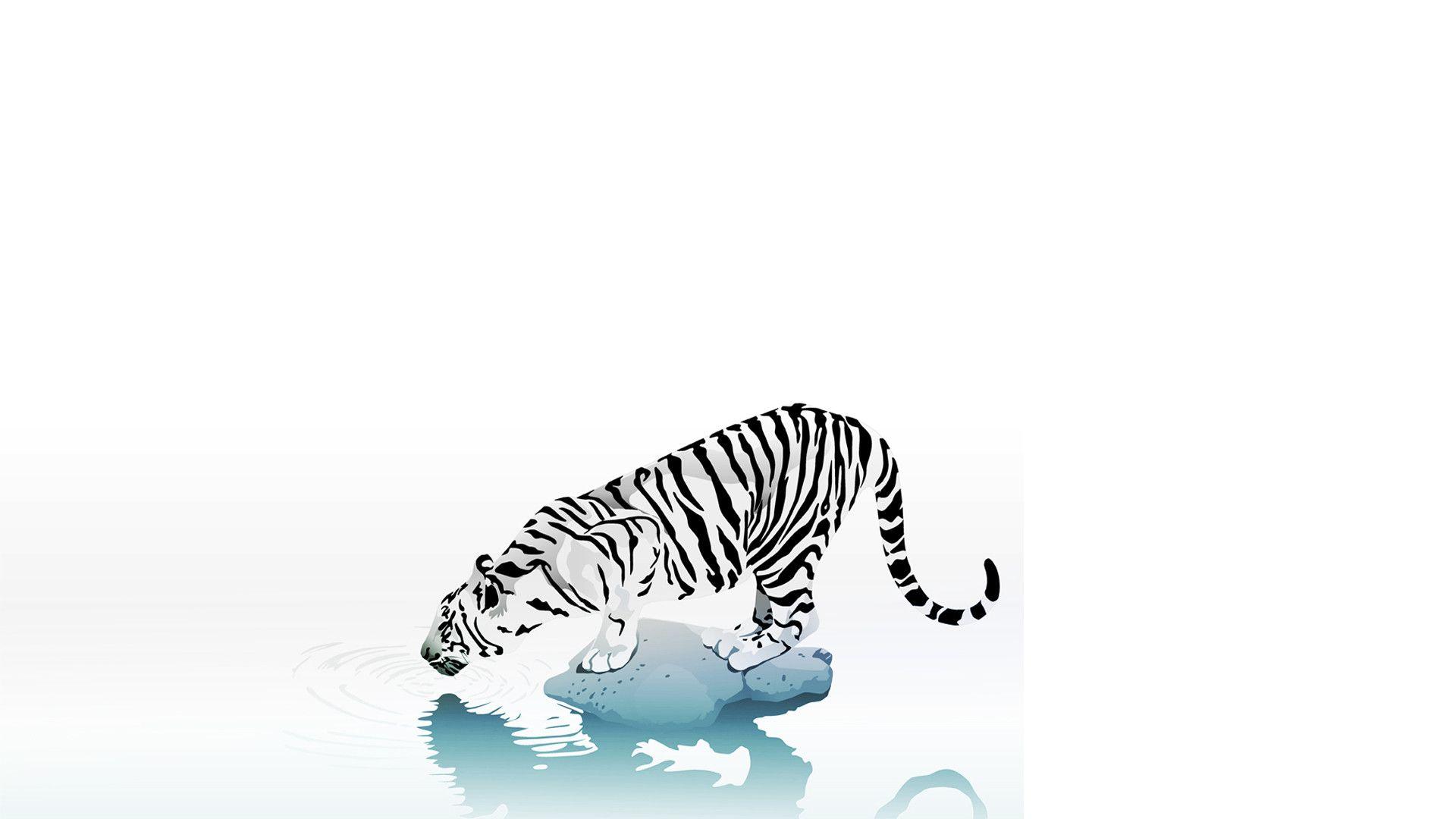 1920x1080 White Background Wallpaper