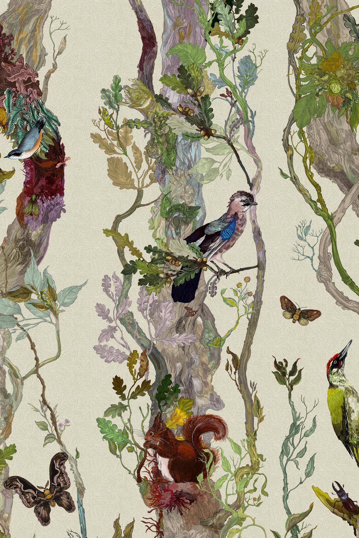1200x1798 Indie Wood wallpaper from Timorous Beasties it has an owl on it