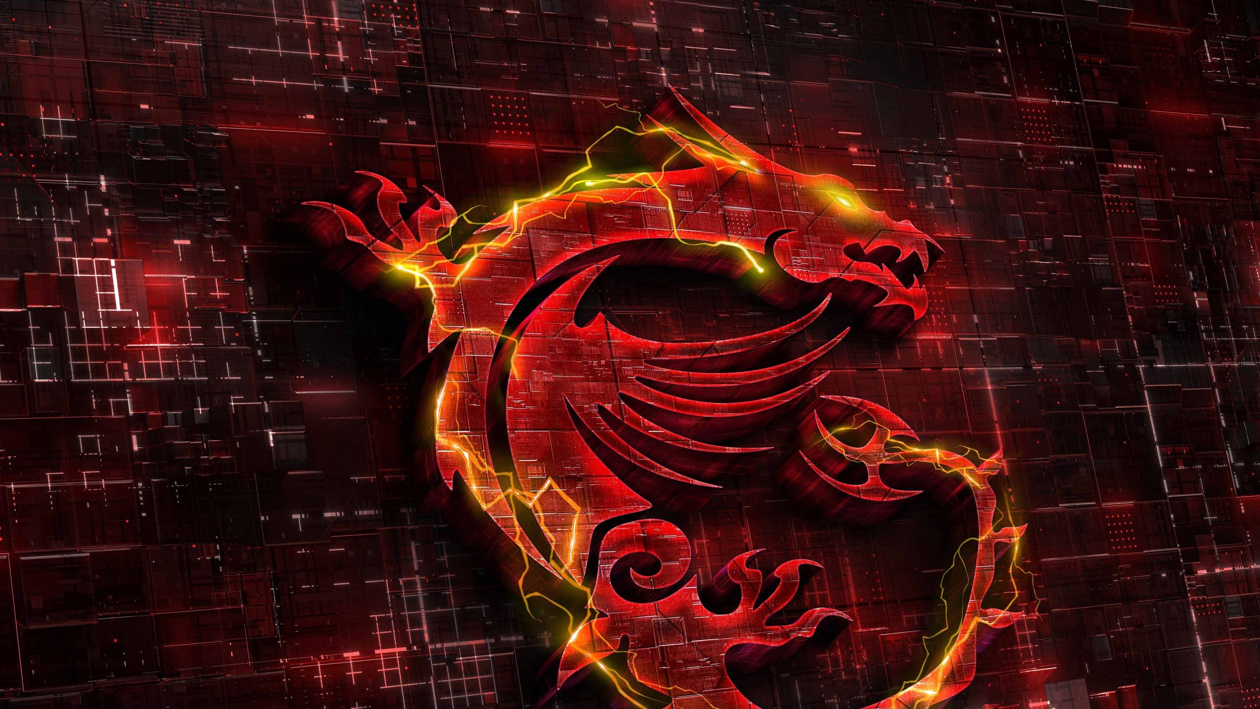 2560x1440 MSI Gaming Wallpaper 4K, Dragon, Fire, Red background