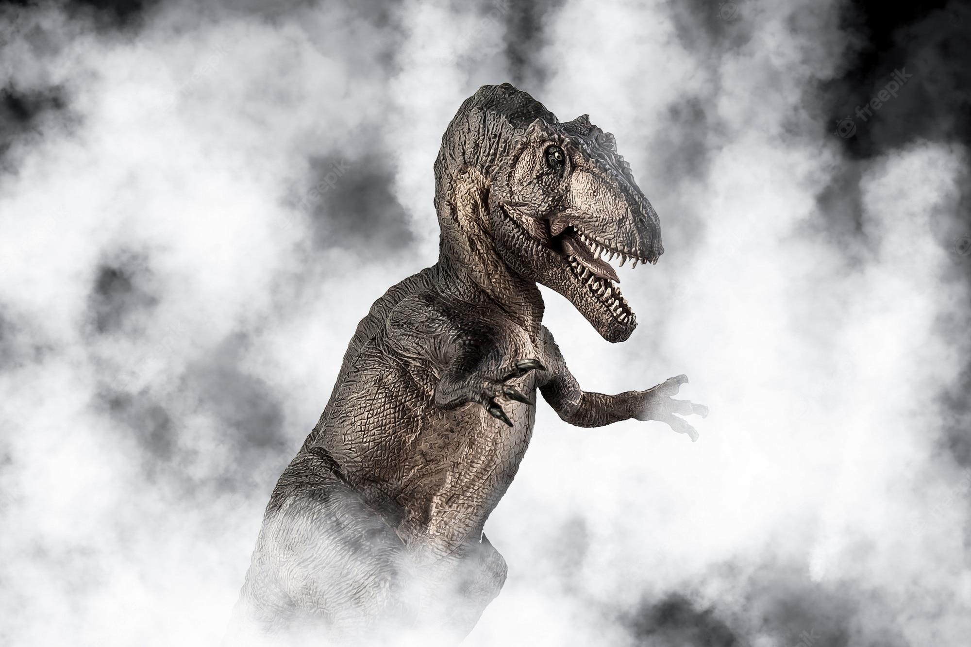 65 Giganotosaurus Stock Photos HighRes Pictures and Images  Getty Images