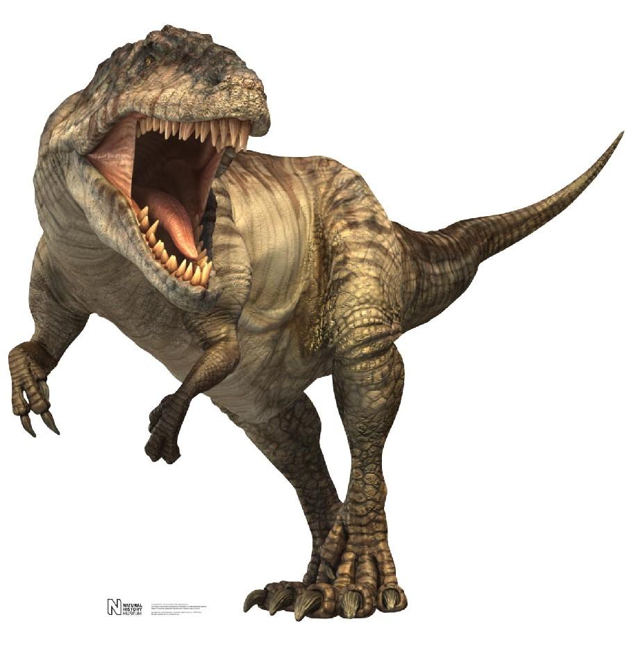900x947 Giganotosaurus Picture & Facts Dinosaur Database