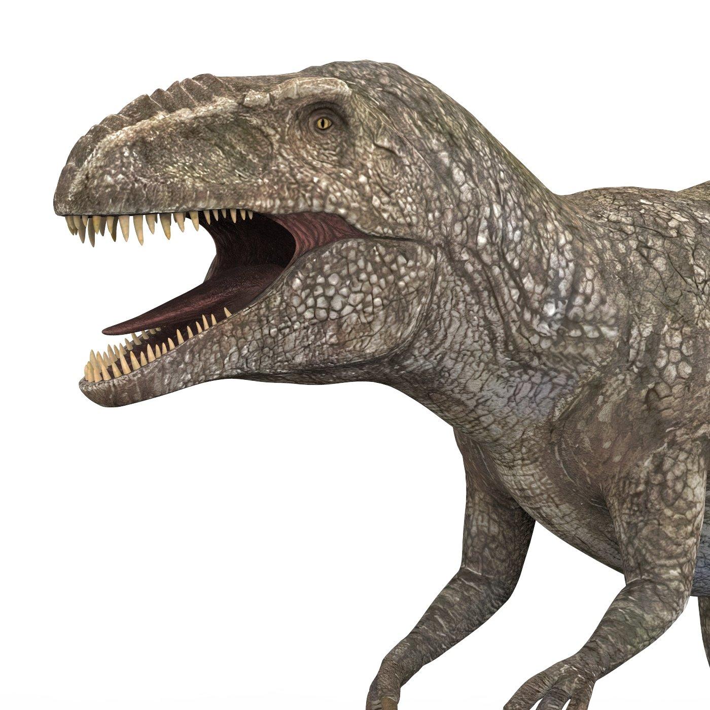 1400x1400 Giganotosaurus Dinosaur