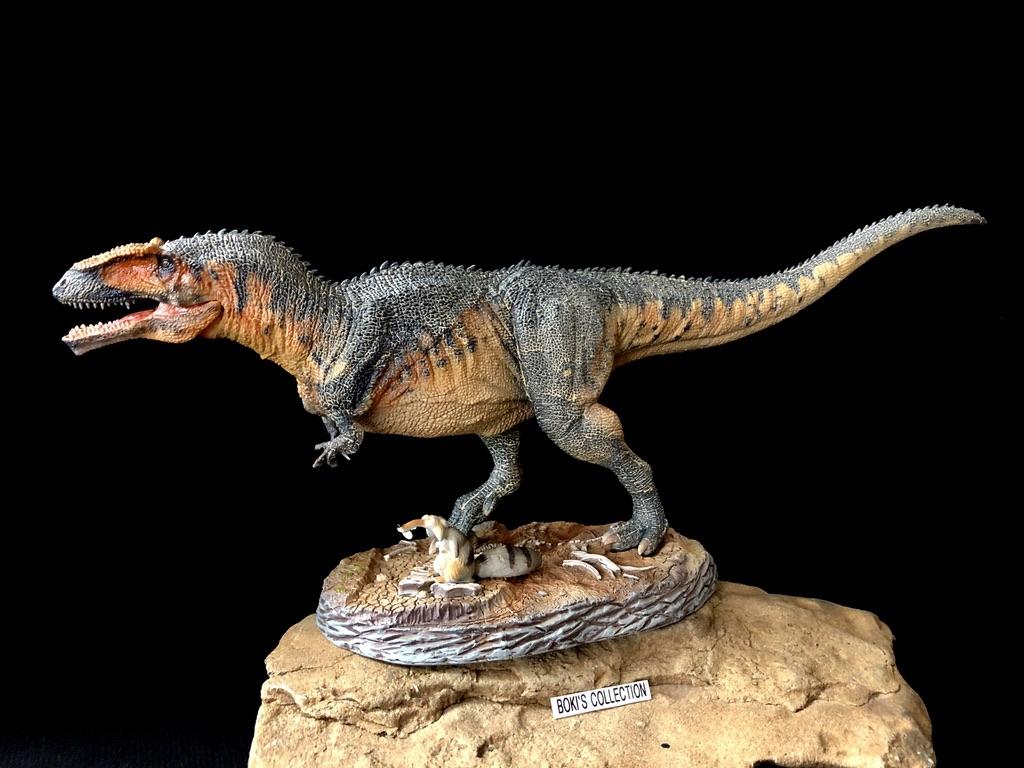 1024x768 Giganotosaurus (PNSO Scientific Art Model)