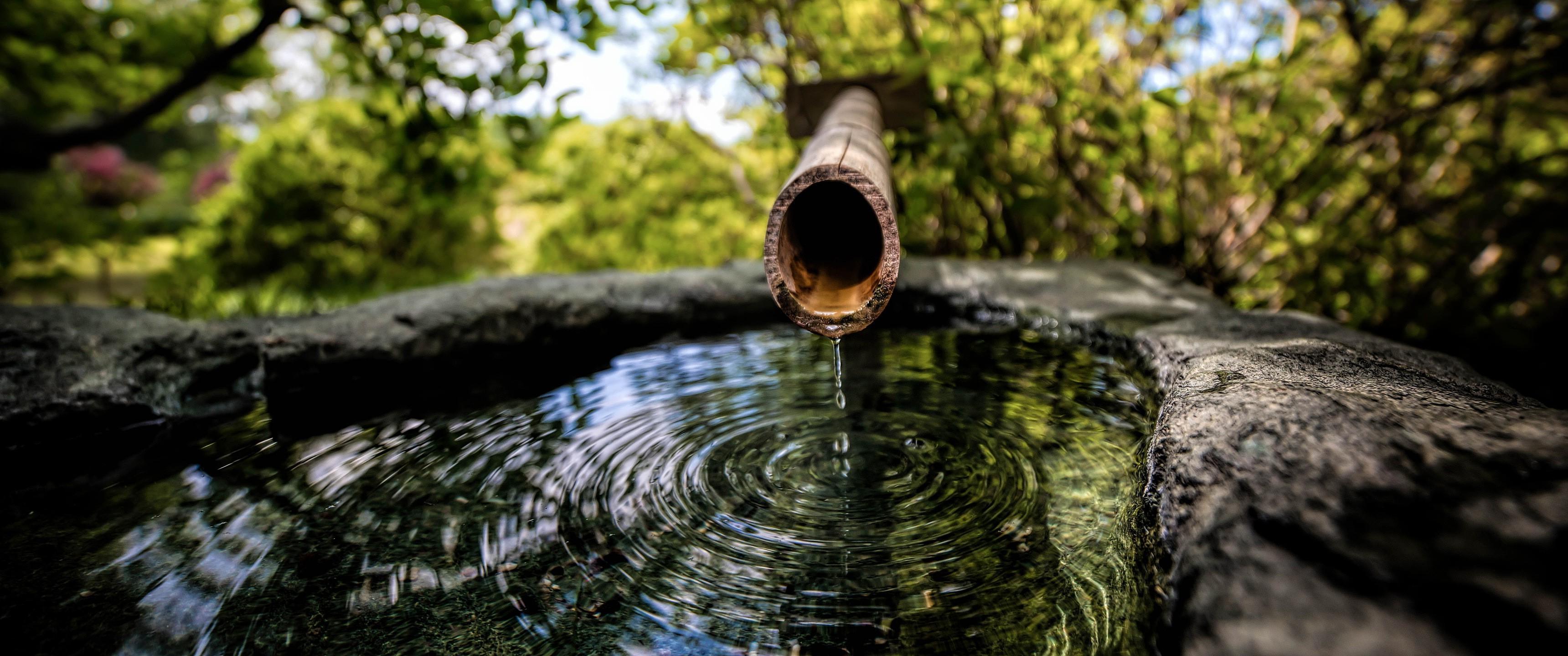 3440x1440 water, Water Drops, Nature Wallpaper HD / Desktop and Mobile Background