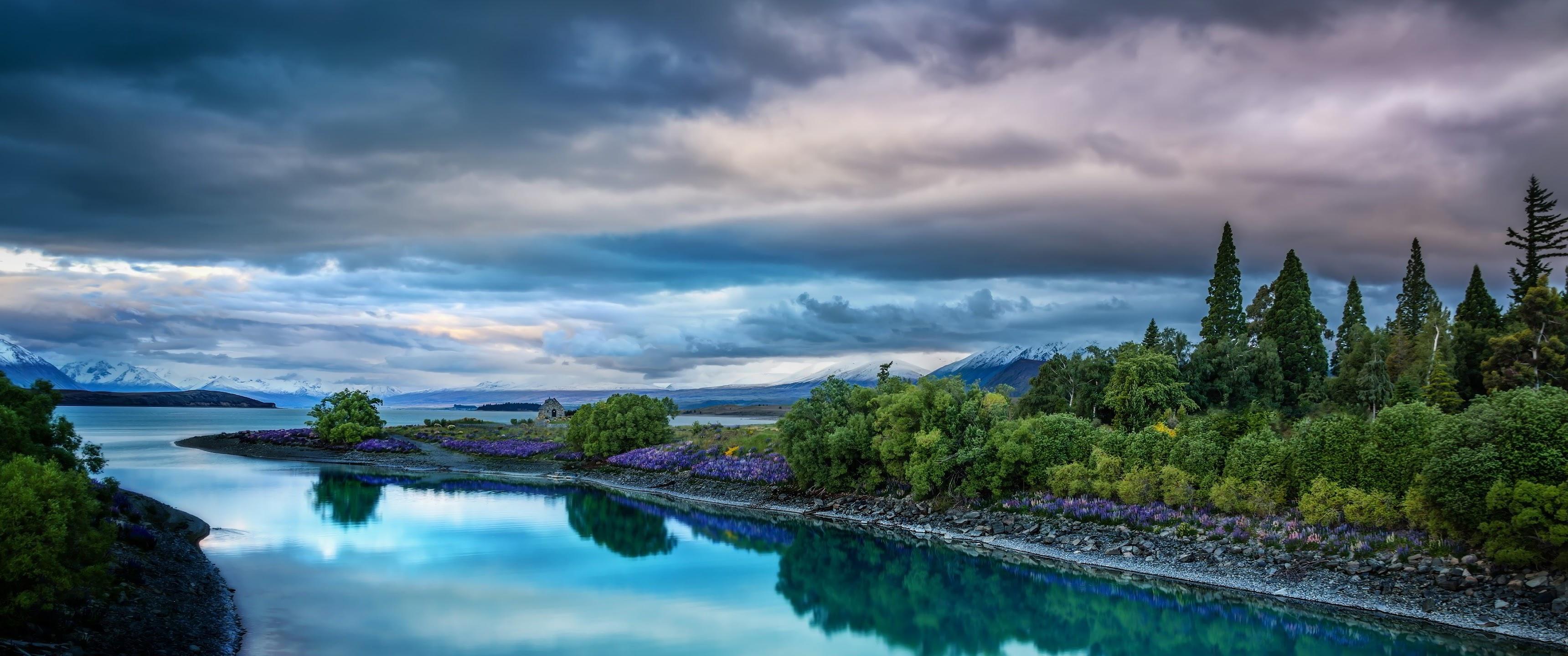 3440x1440 Nature Forest Scenery Landscape 4K Wallpaper