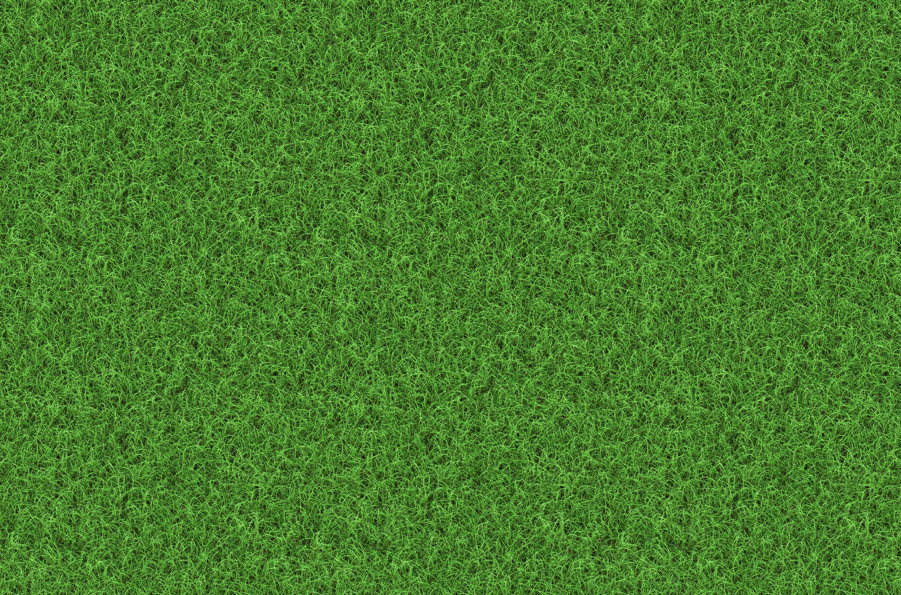 3100x2050 Seven Free Grass Textures or Lawn Background Image
