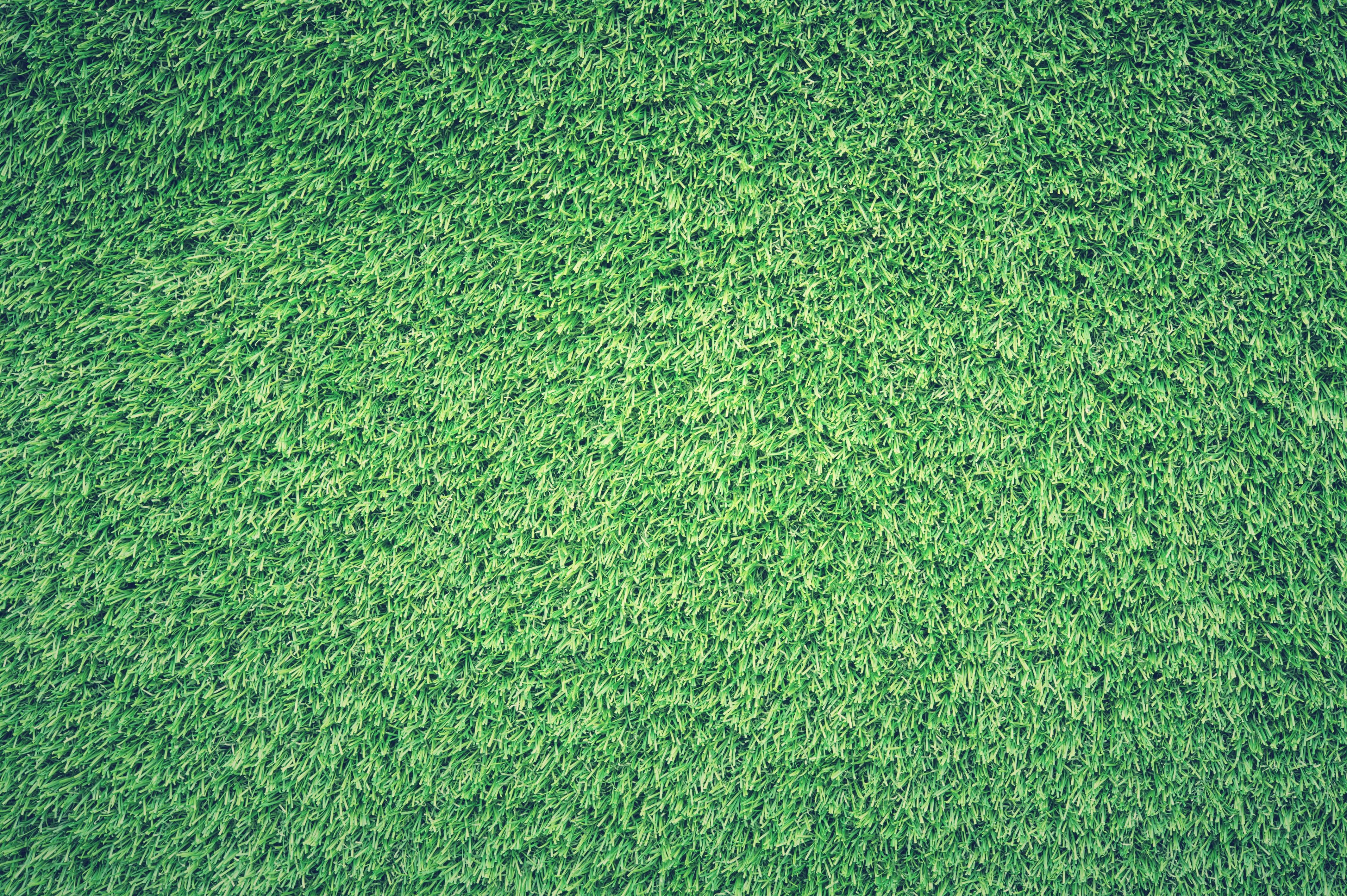 4256x2832 background, texture, green, field, grass, lawn Gallery HD Wallpaper