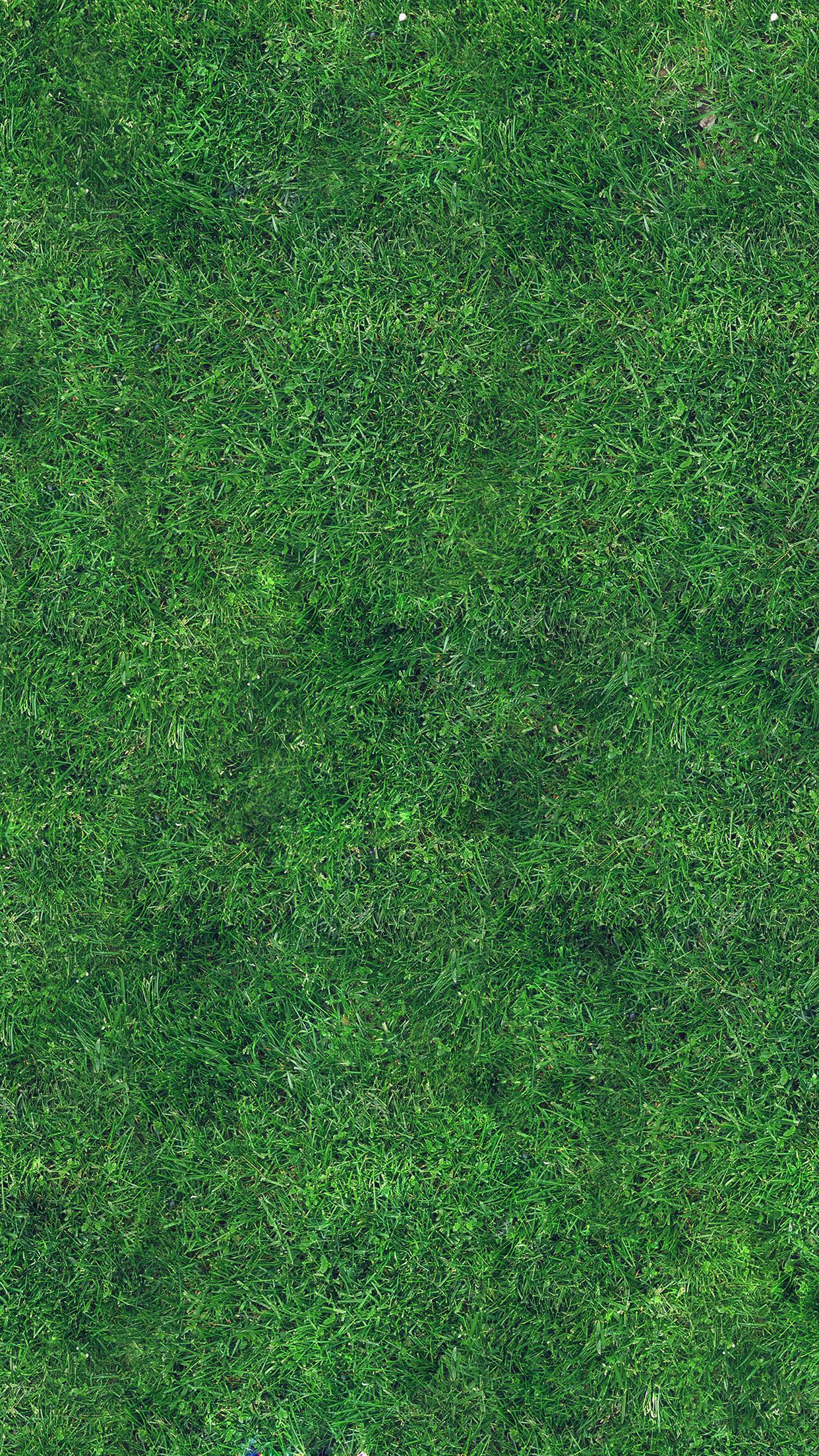 1242x2208 Grass Texture Nature Pattern Android wallpaper HD wallpaper