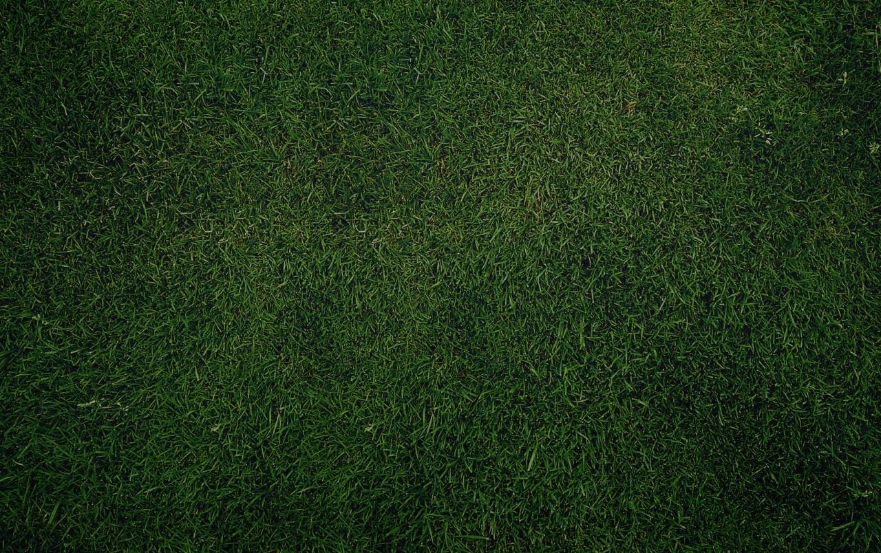 Grass Texture Wallpapers Top Free Grass Texture Backgrounds