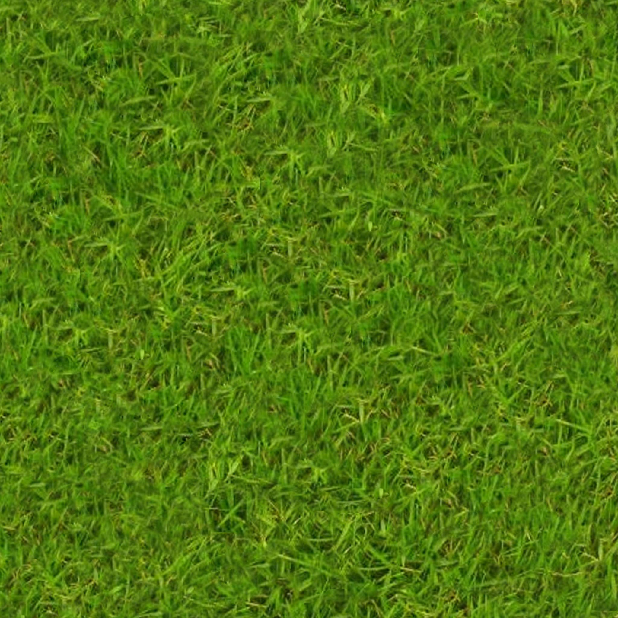 2048x2048 green grass, background, texture, download photo, green grass texture