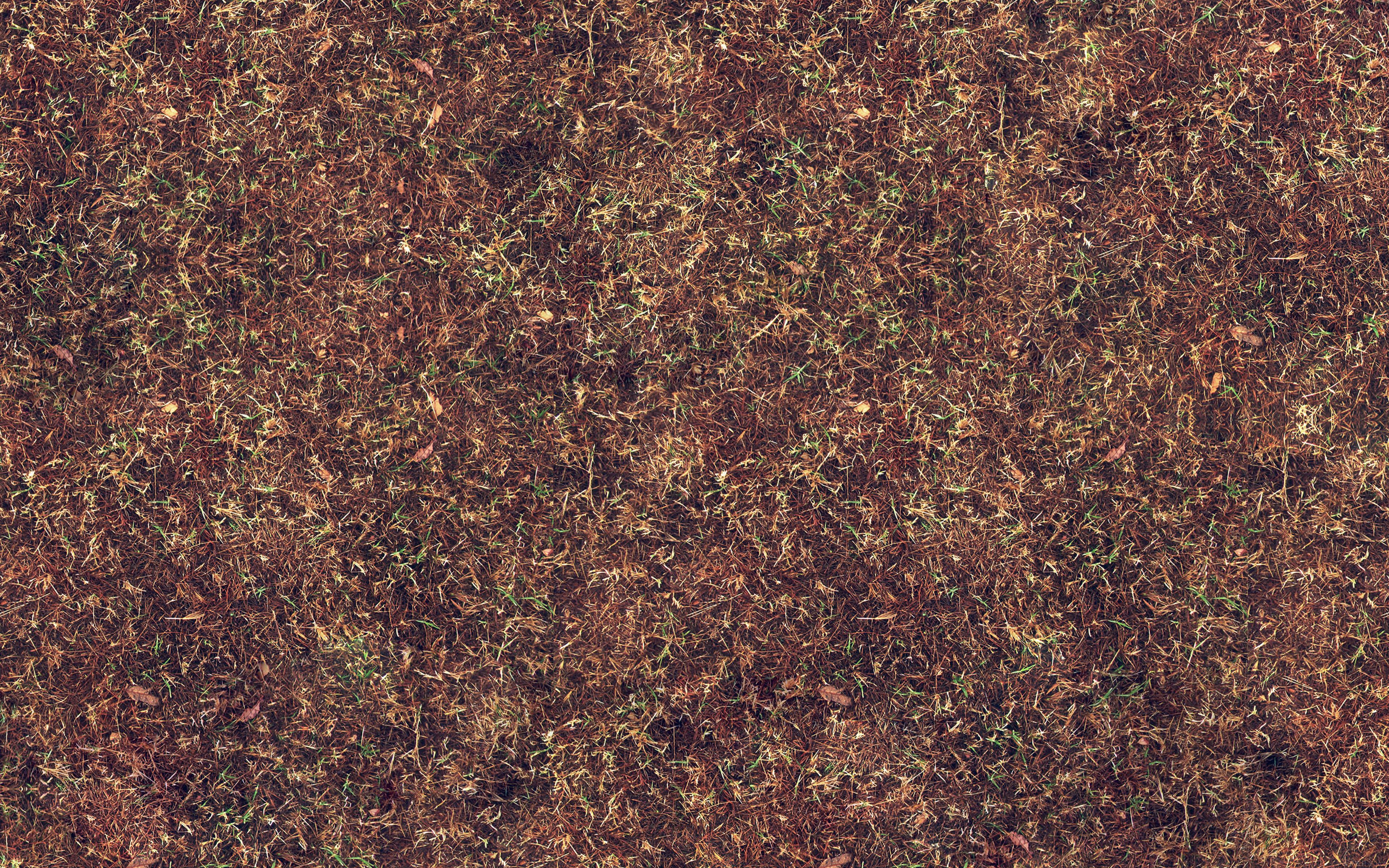 3840x2400 wallpaper for desktop, laptop. grass texture pattern