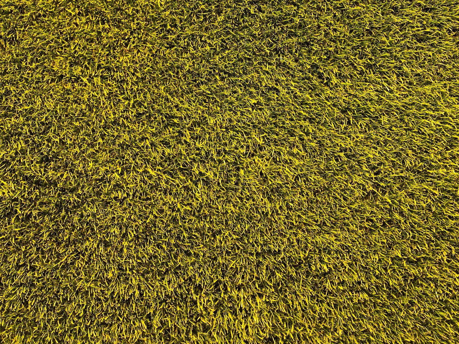 Grass Texture Wallpapers Top Free Grass Texture Backgrounds