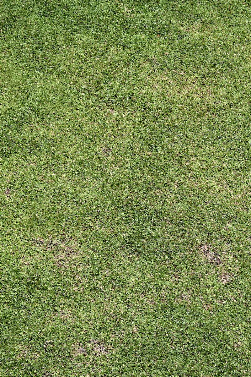 Grass Texture Wallpapers - Top Free Grass Texture Backgrounds ...