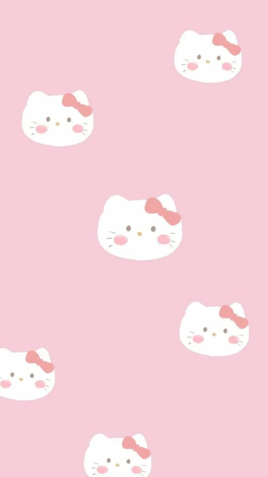1080x1920 Sanrio Wallpaper Sanrio Wallpaper Download