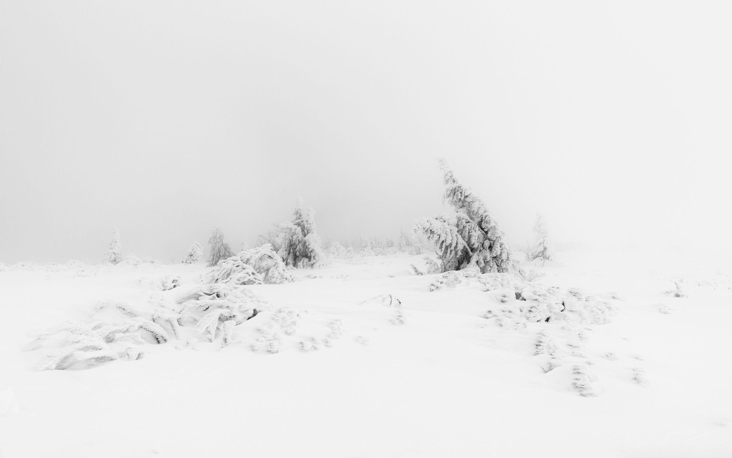 2560x1600 Simple White Aesthetic Desktop Wallpaper