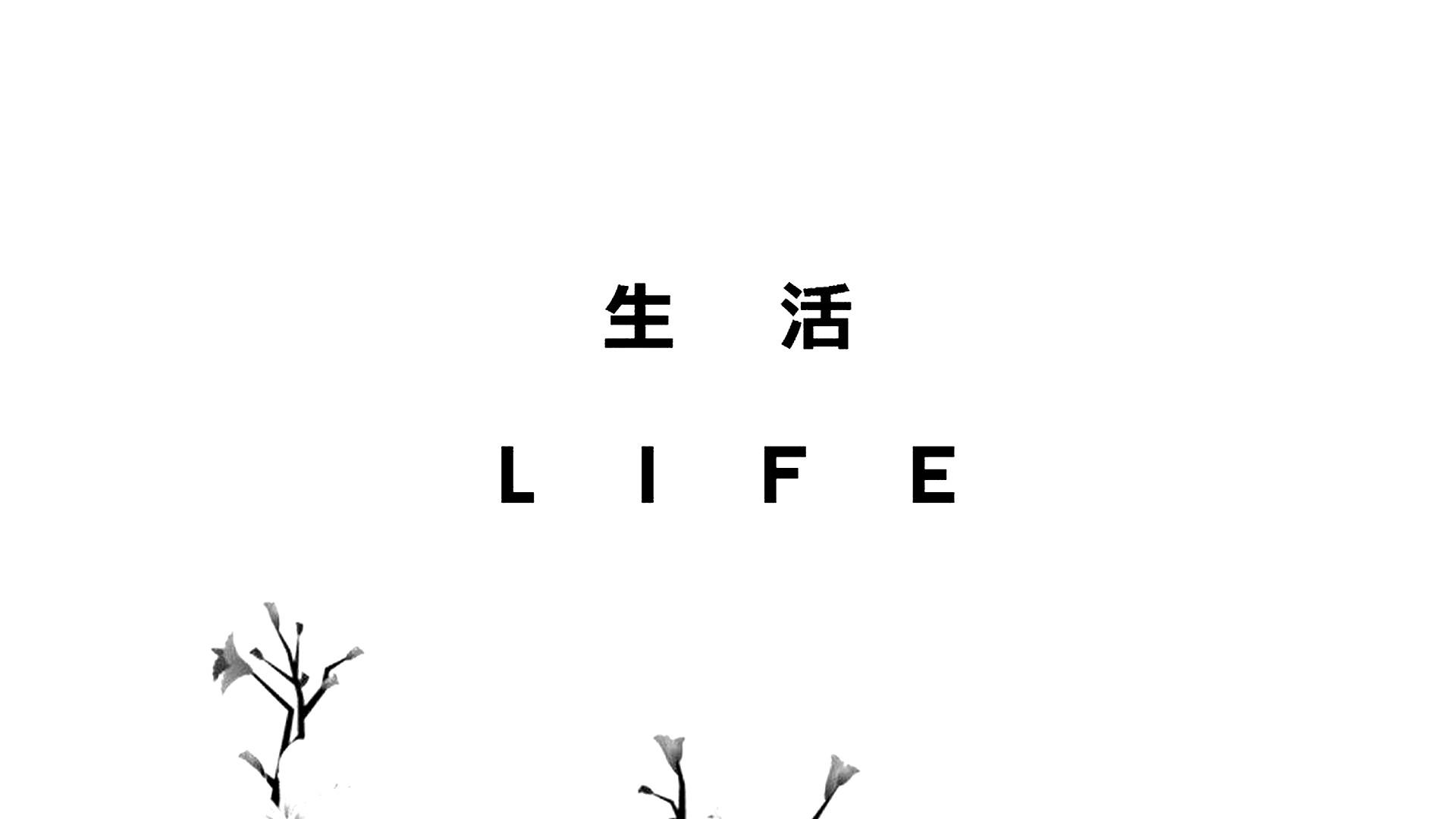 1920x1080 White Aesthetic For Computer Wallpaper HD 2023