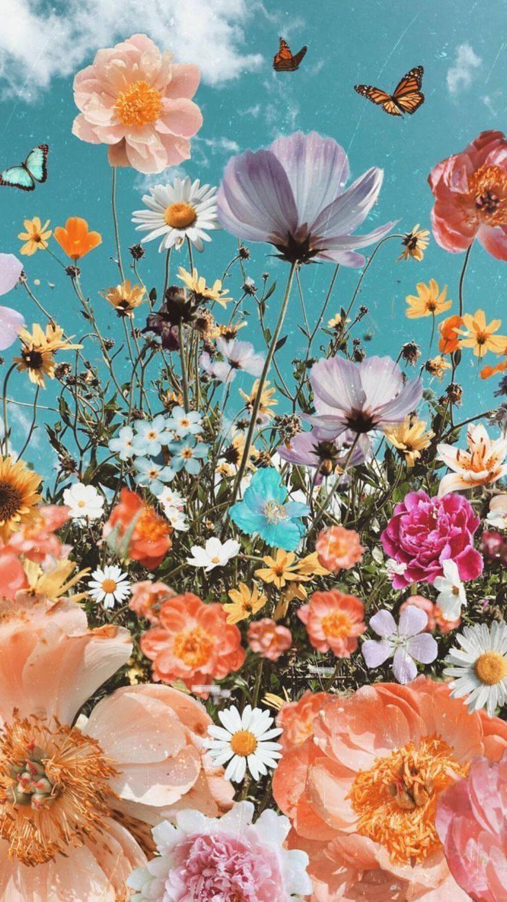 Wildflower Aesthetic Wallpapers - Top Free Wildflower Aesthetic ...