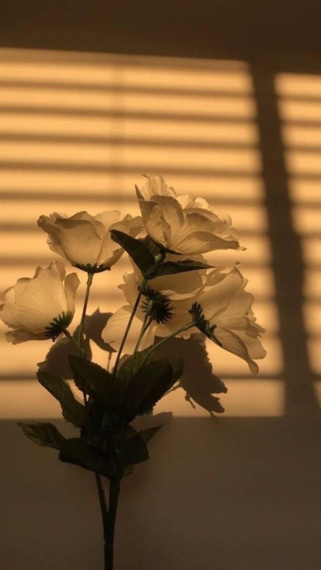 1080x1920 Download Flower Aesthetic In Sunlight Wallpaper