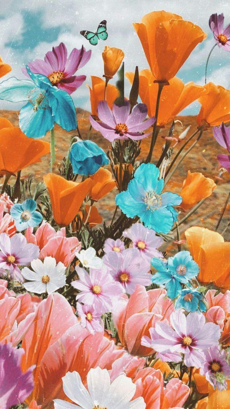750x1333 Flowers