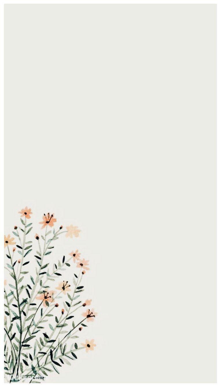 764x1335 Aesthetic Flowers Simple Wallpaper