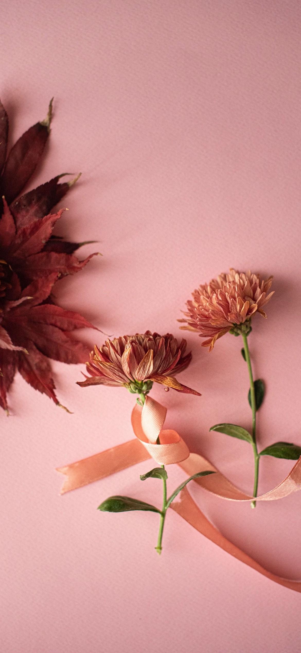 1170x2532 iPhone Flower Wallpaper
