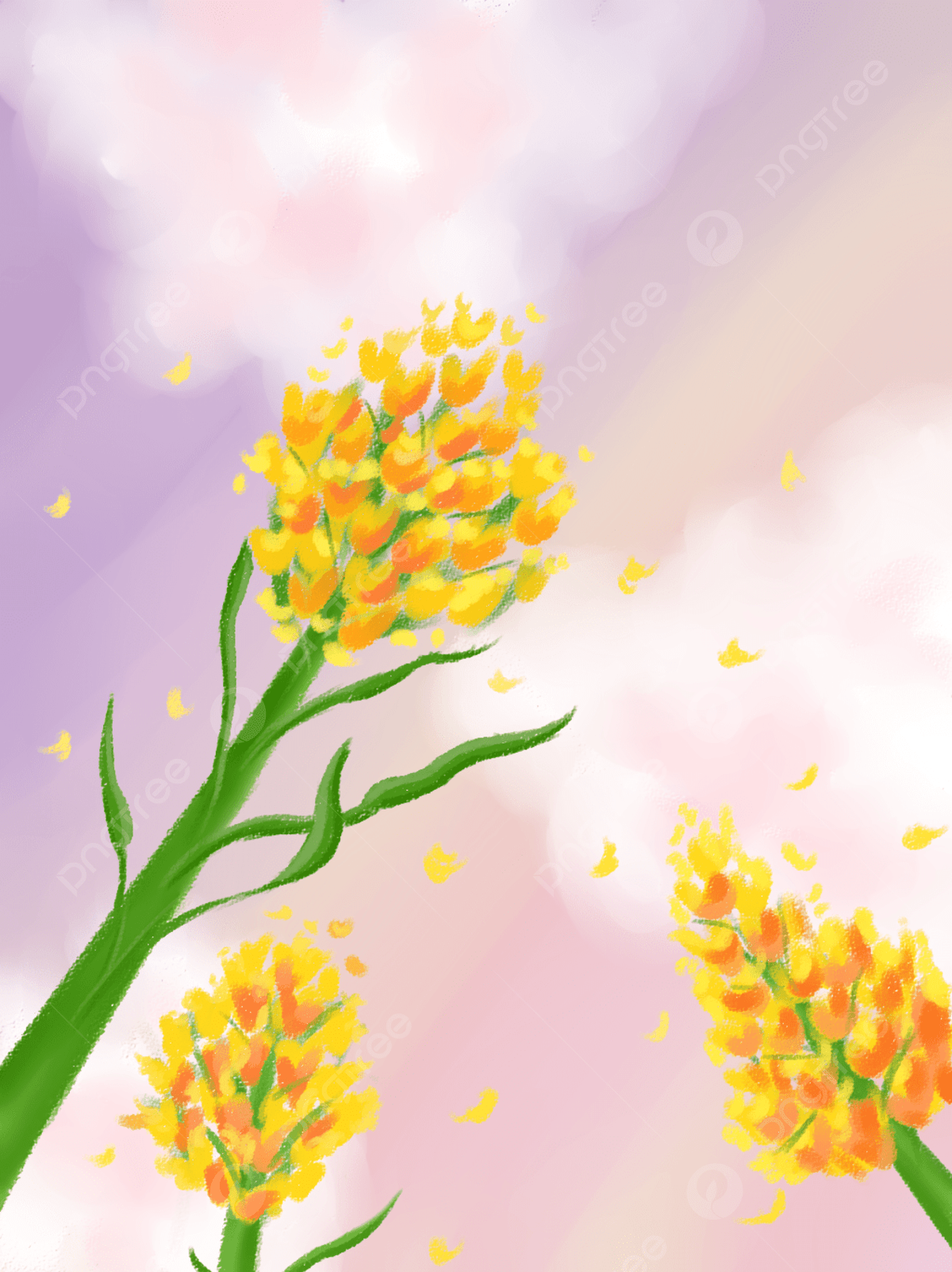 1200x1604 Pink Purple Dream Background Rape Flower Aesthetic Wallpaper, Pink Purple, Dream, Background Background Image for Free Download