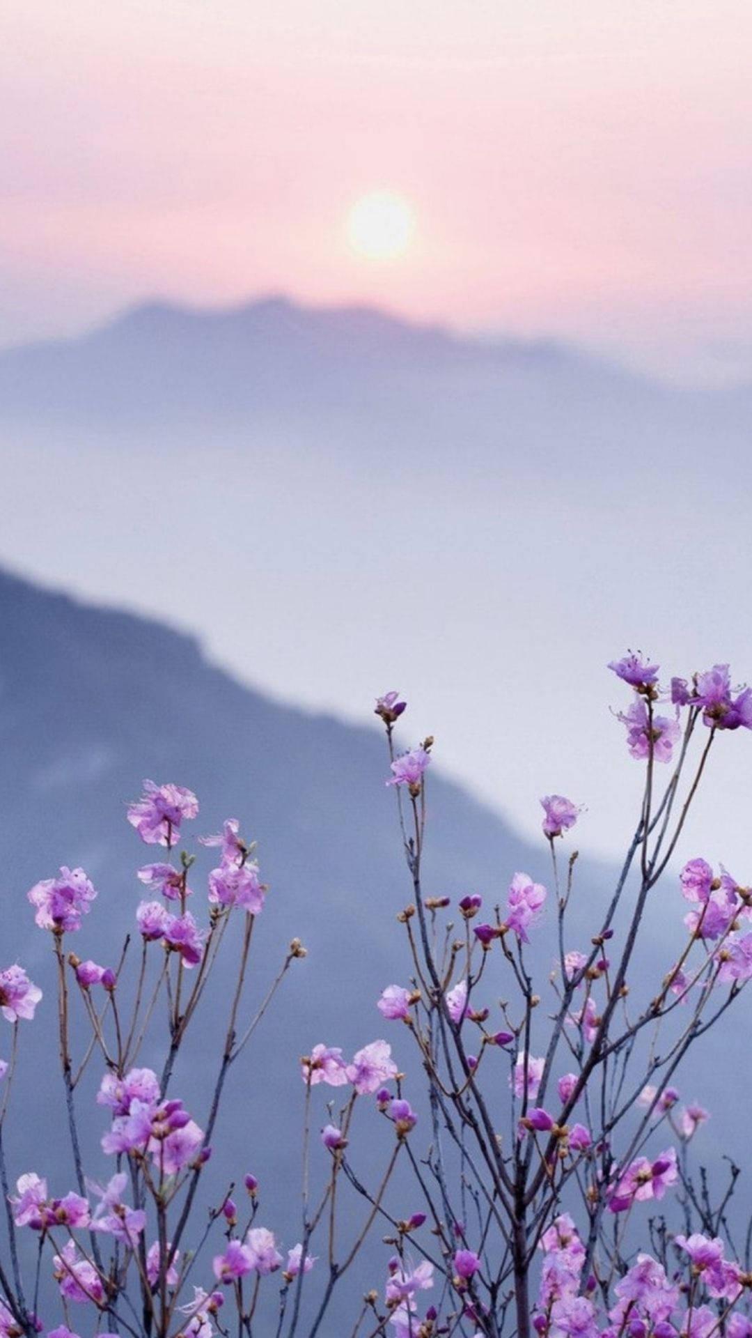 1080x1920 Download Tiny Flowers Aesthetic Wallpaper