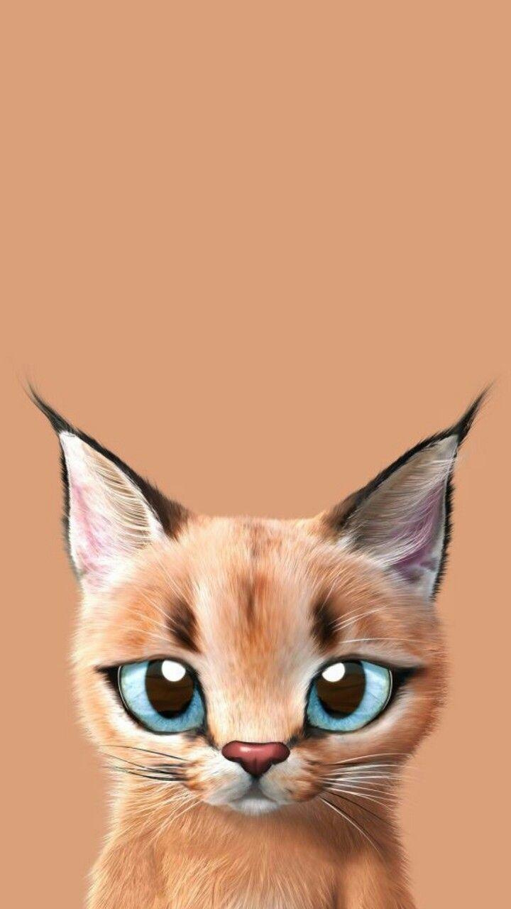 720x1280 Caracal:)). Cat wallpaper, Cute cats, Kitten wallpaper