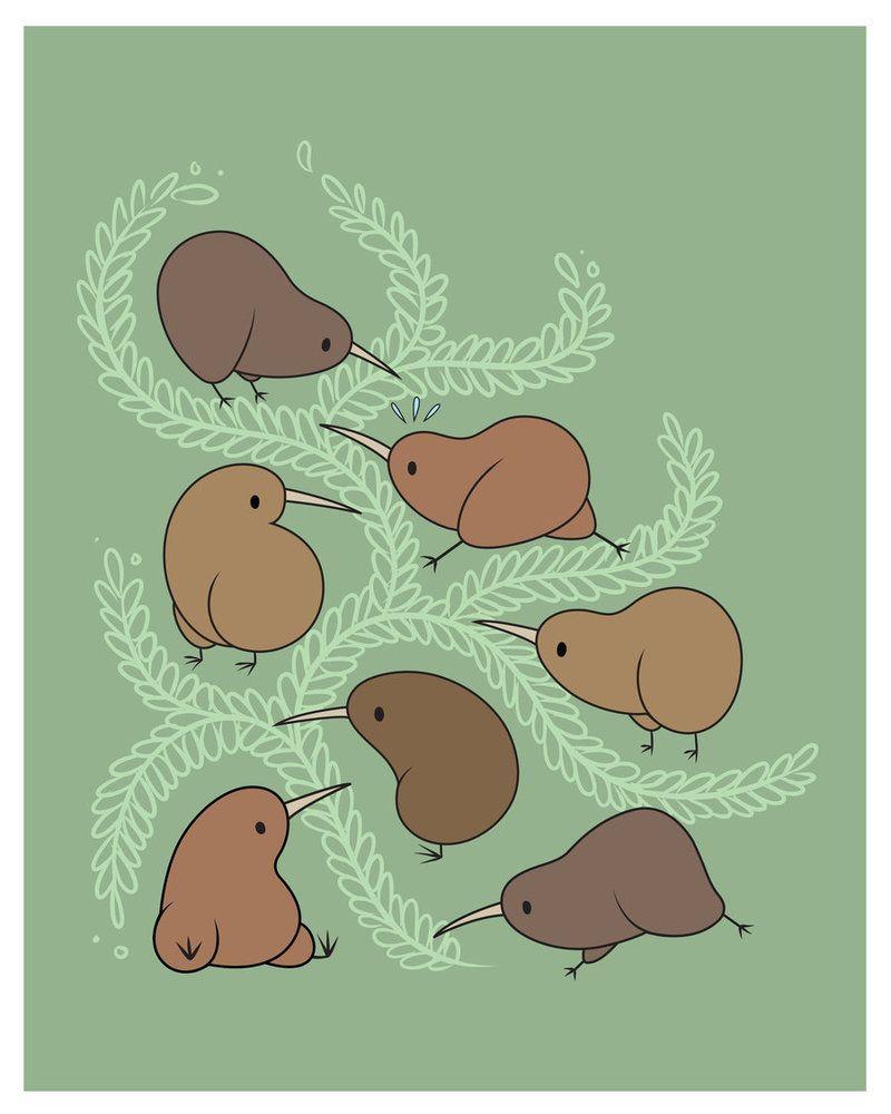 800x1000 Kiwi Bird Wallpaper