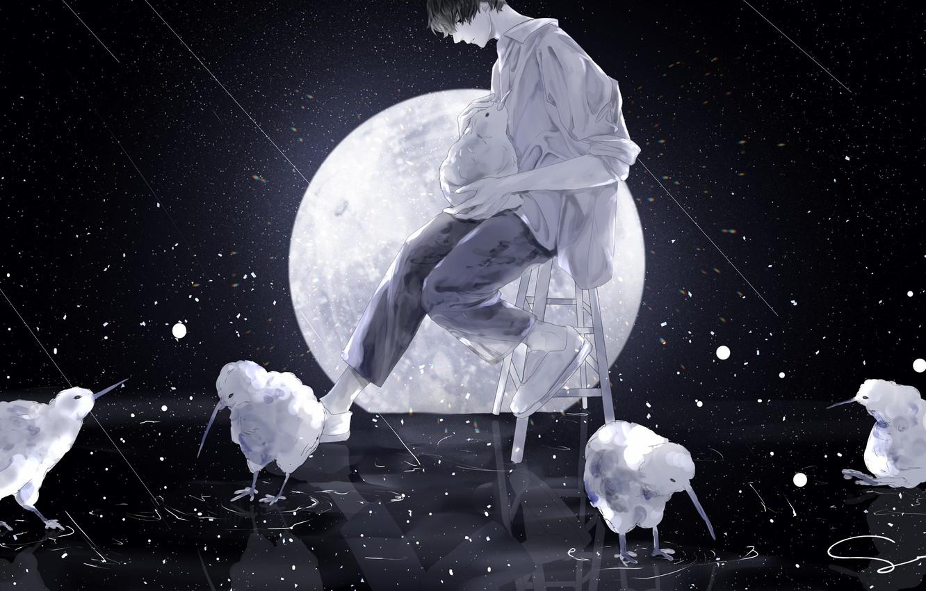 1332x850 Wallpaper space, birds, night, the moon, kiwi, chair, guy, stool, by 世, the kiwi bird image for desktop, section арт
