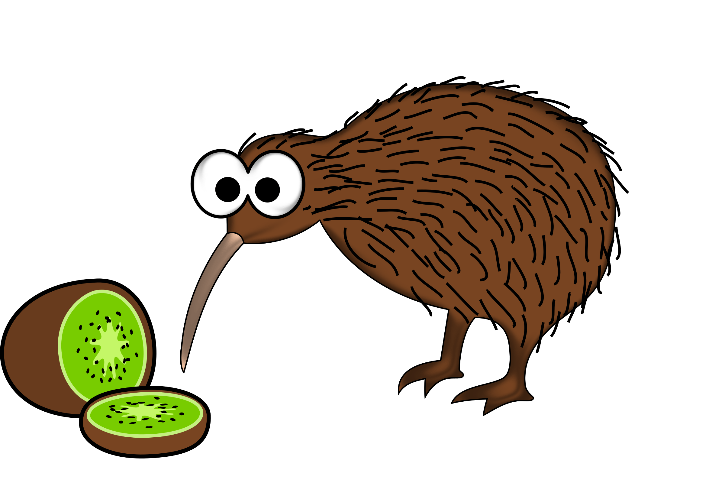 2400x1651 Kiwi bird PNG image free download