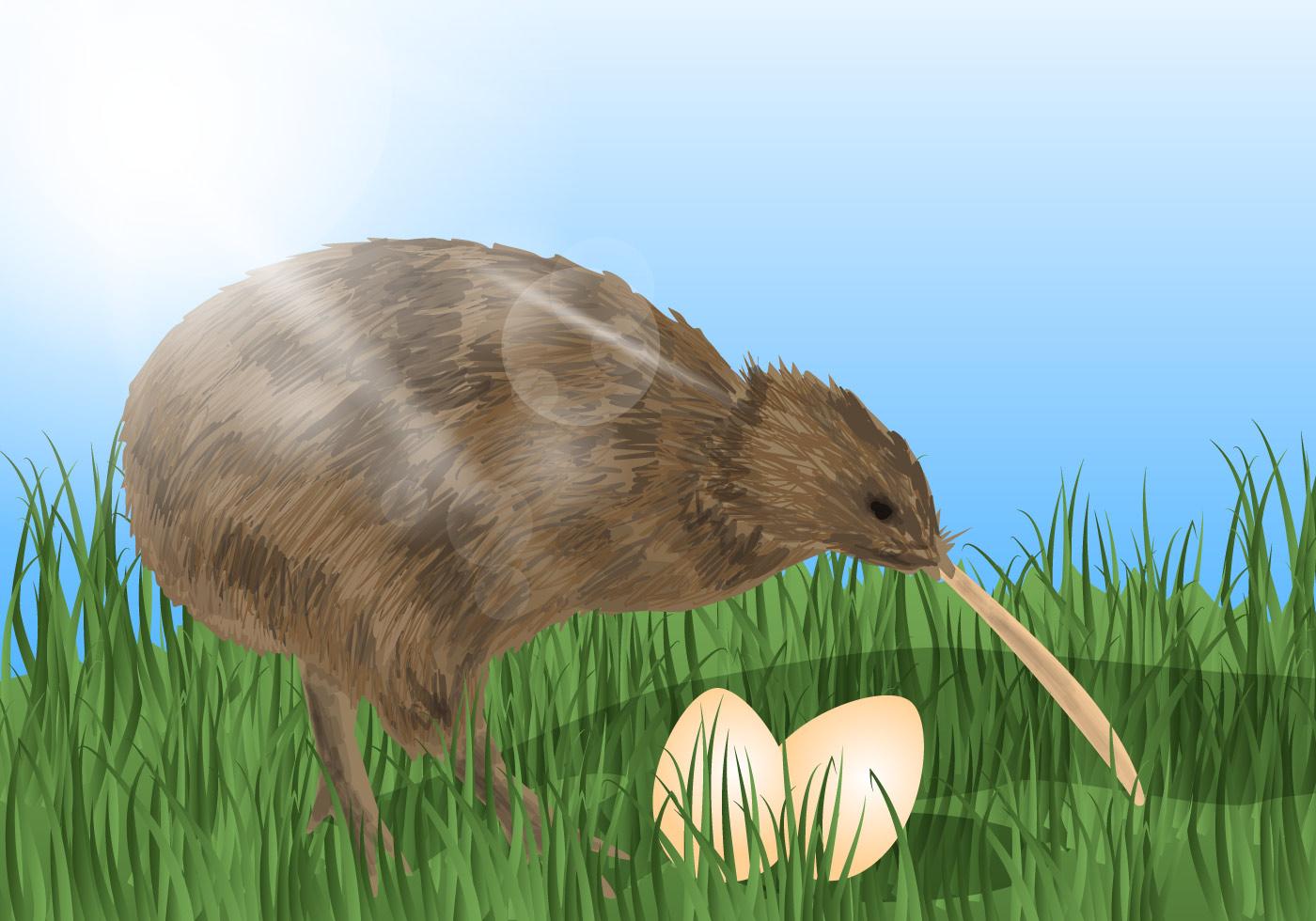 1400x980 Kiwi Bird With The Eggs