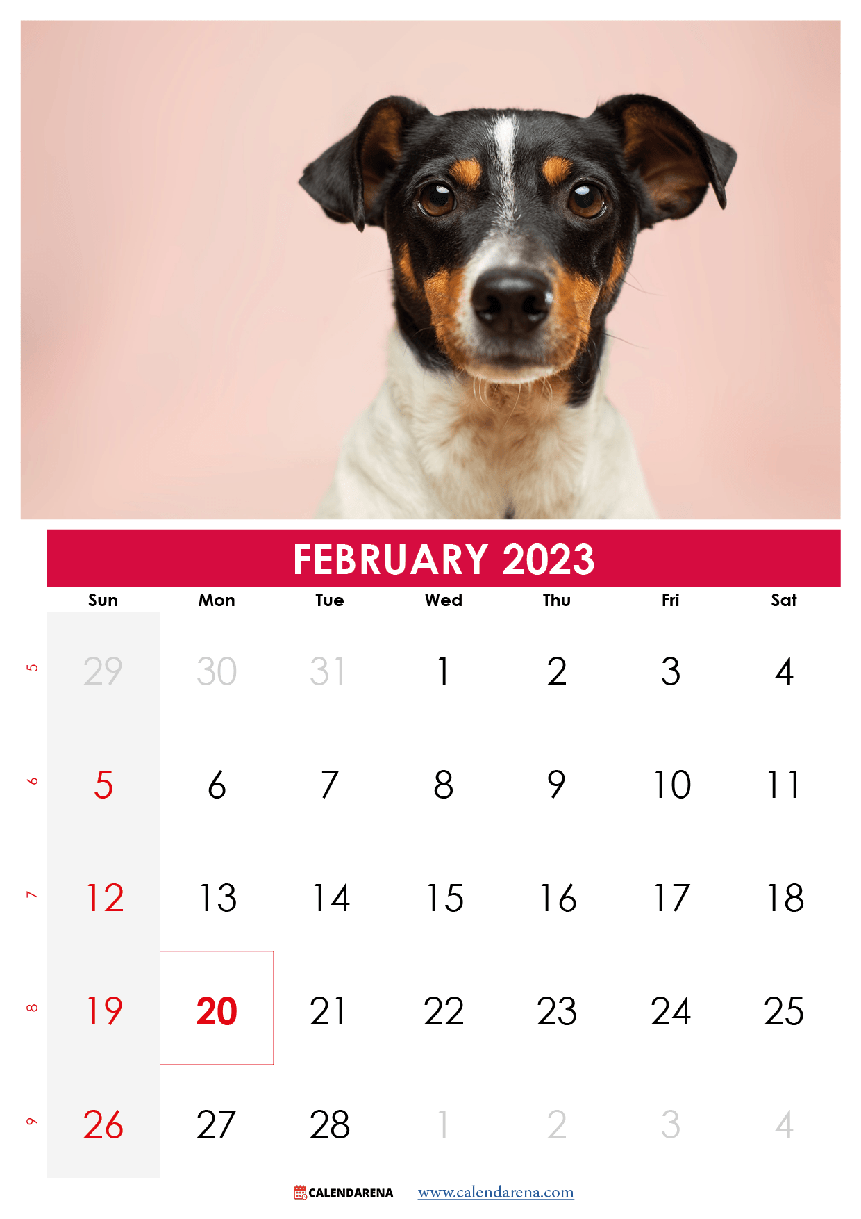 1240x1754 February 2023 Calendar Printable USA
