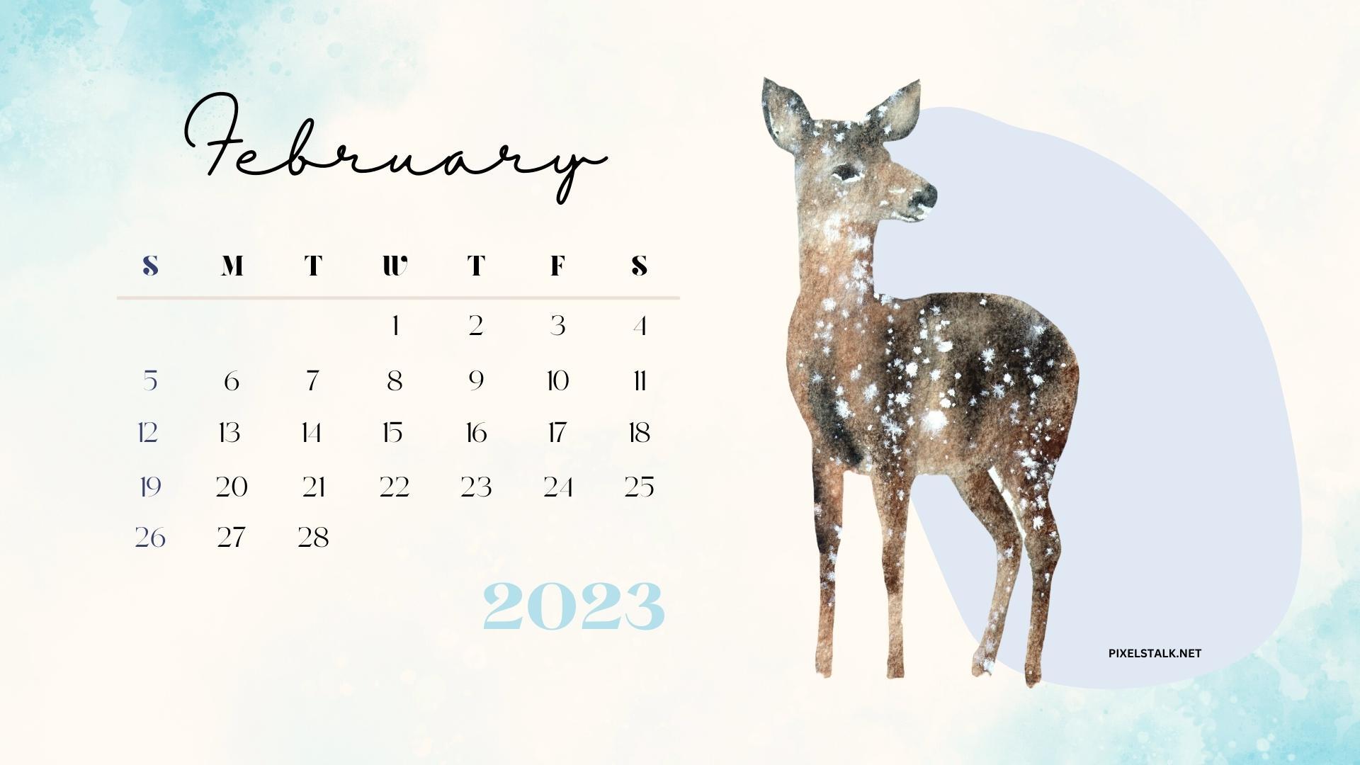 February 2023 Calendar Wallpapers - Top Free February 2023 Calendar ...