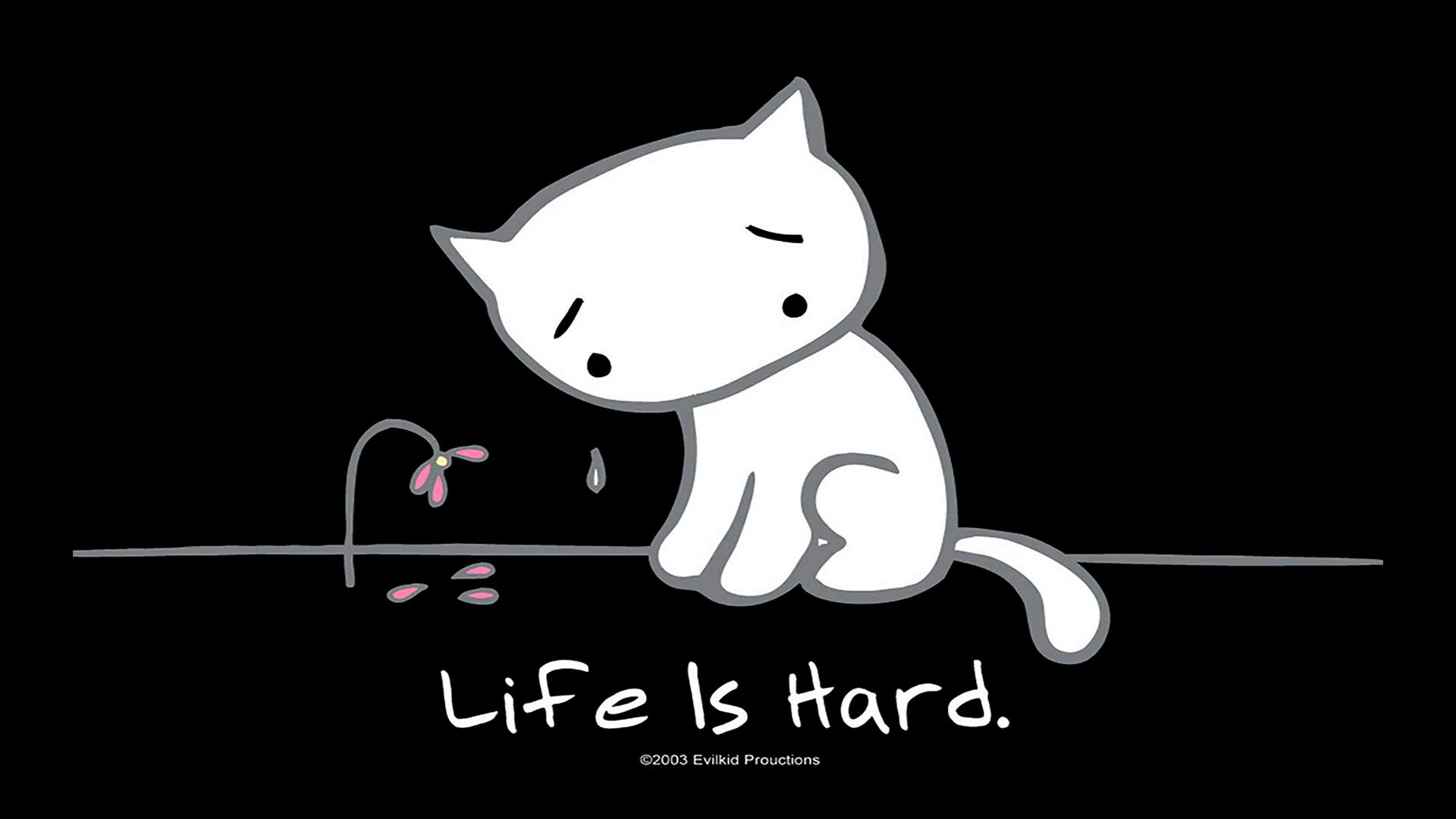 1920x1080 Life is Hard Desktop Wallpaper