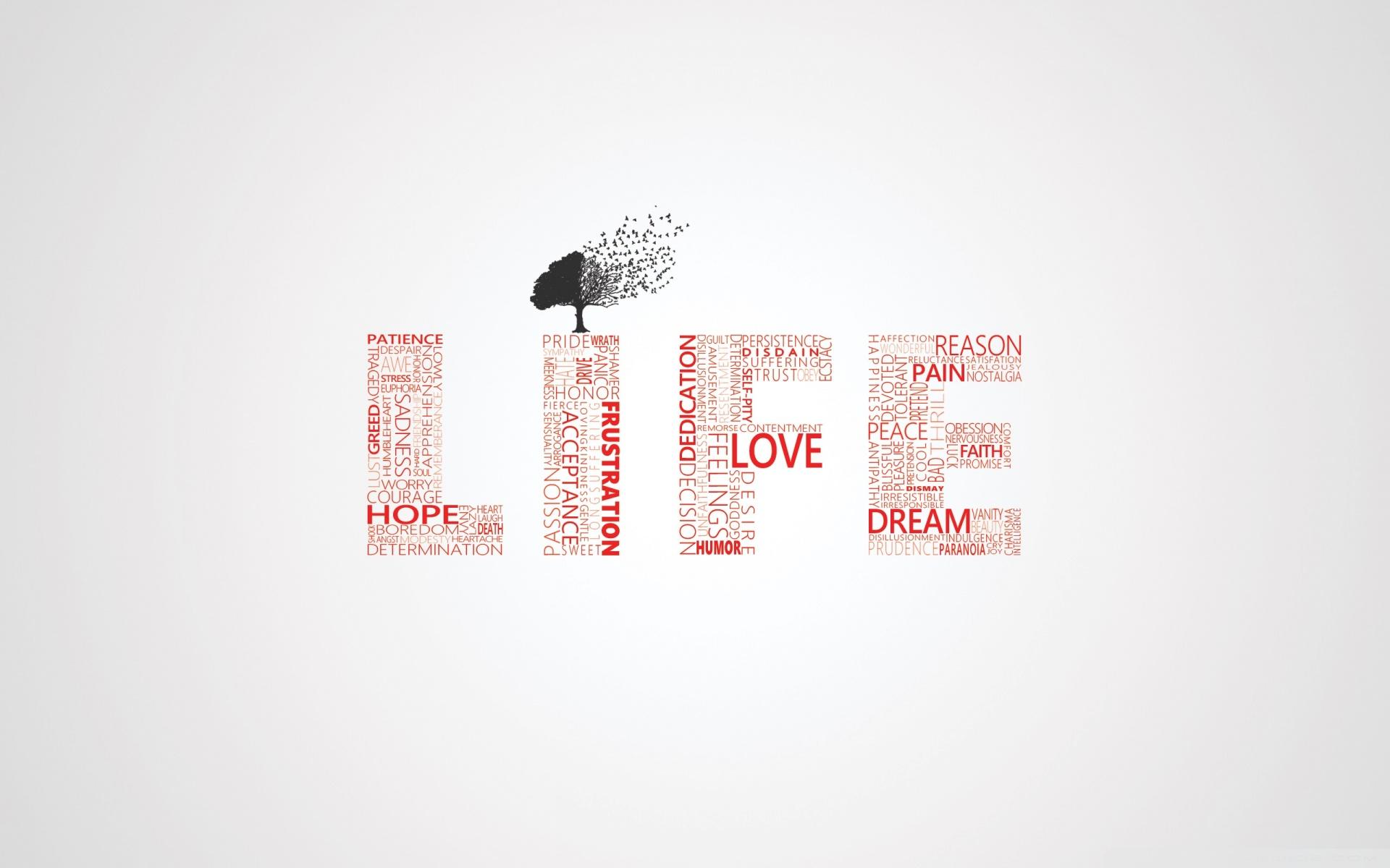 1920x1200 Life Typography Ultra HD Desktop Background Wallpaper for 4K UHD TV : Multi Display, Dual Monitor : Tablet