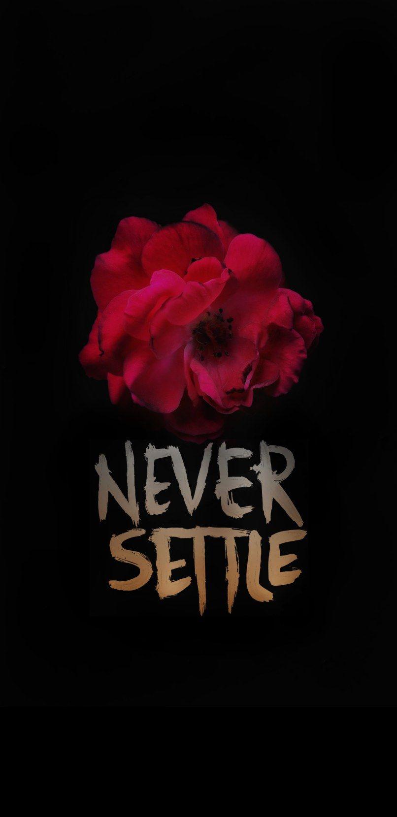 806x1660 I made a WALLPAPER!!!NEVER SETTLE