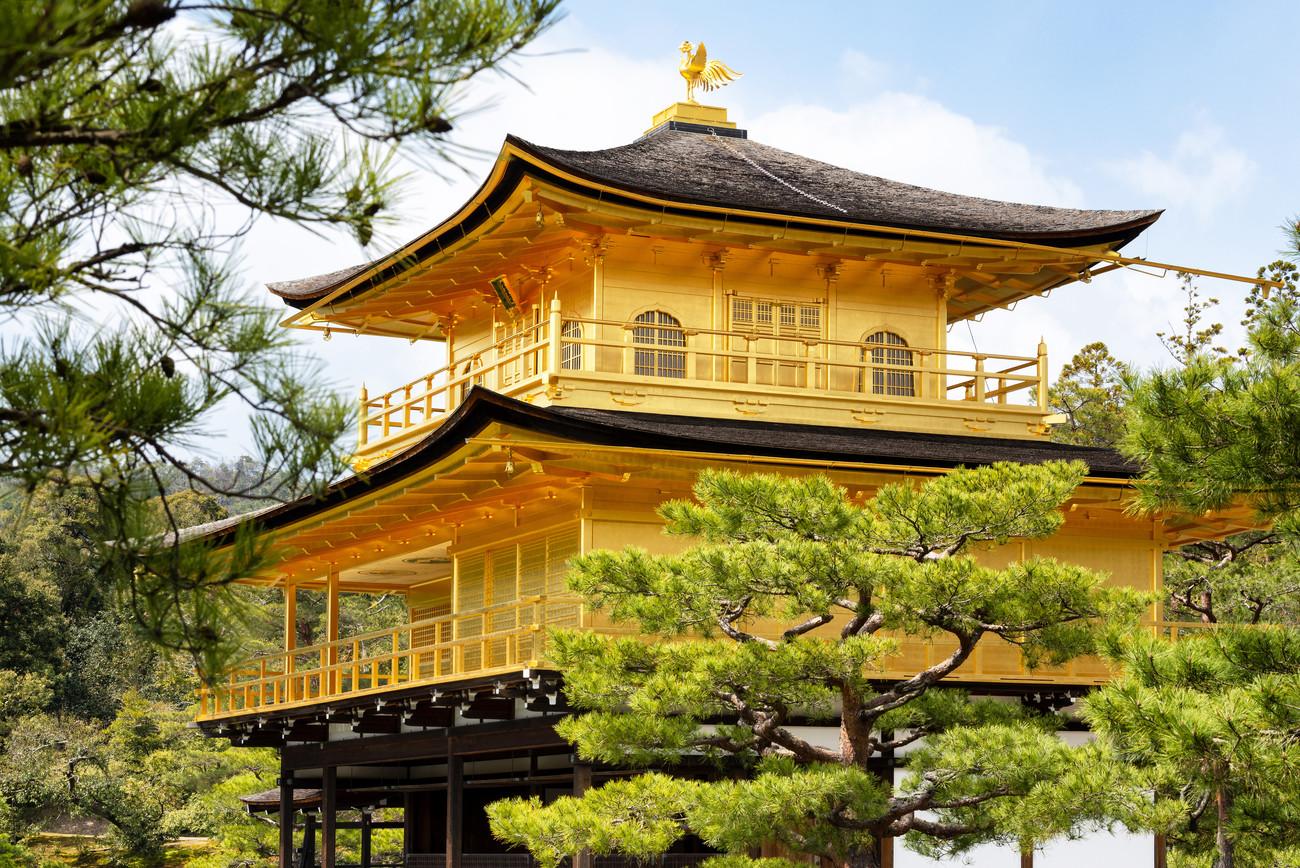 1300x868 Kinkaku Ji Golden Temple II Wall Mural
