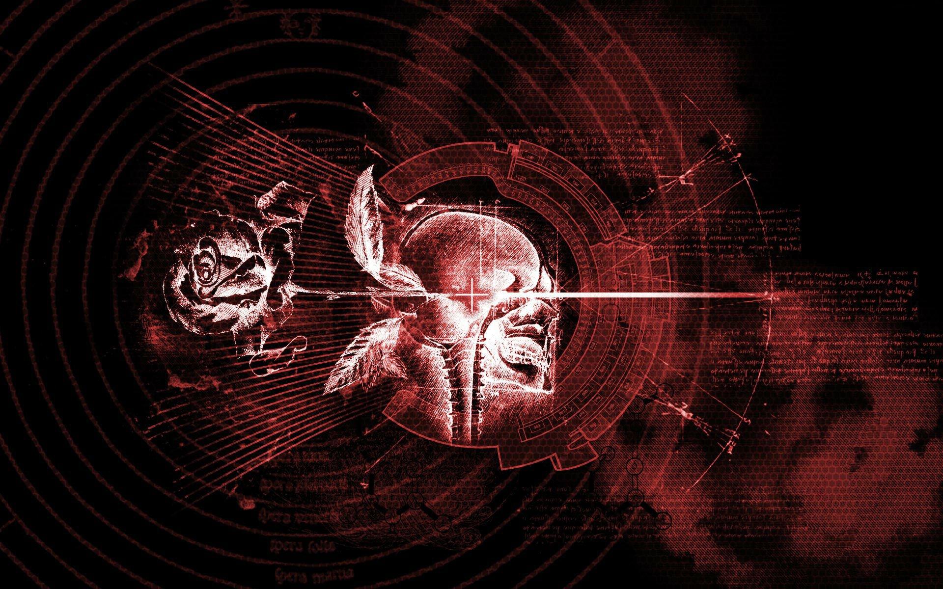 1920x1200 occult, Witch, Satanic, Satan, Evil, Gothic, Rose, Skull Wallpaper HD / Desktop and Mobile Background
