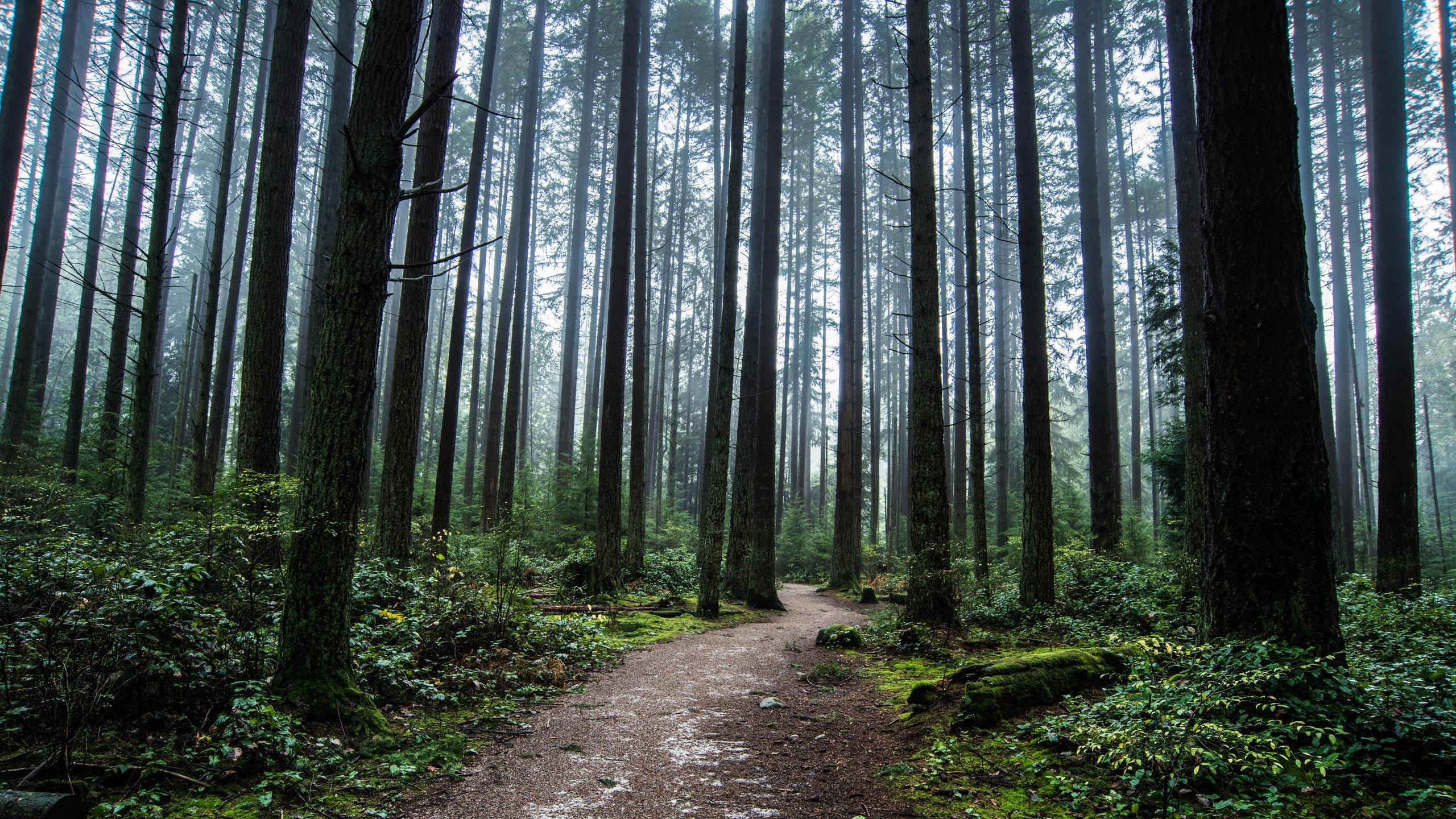 Spiritual Dual Monitor Wallpapers - Top Free Spiritual Dual Monitor ...