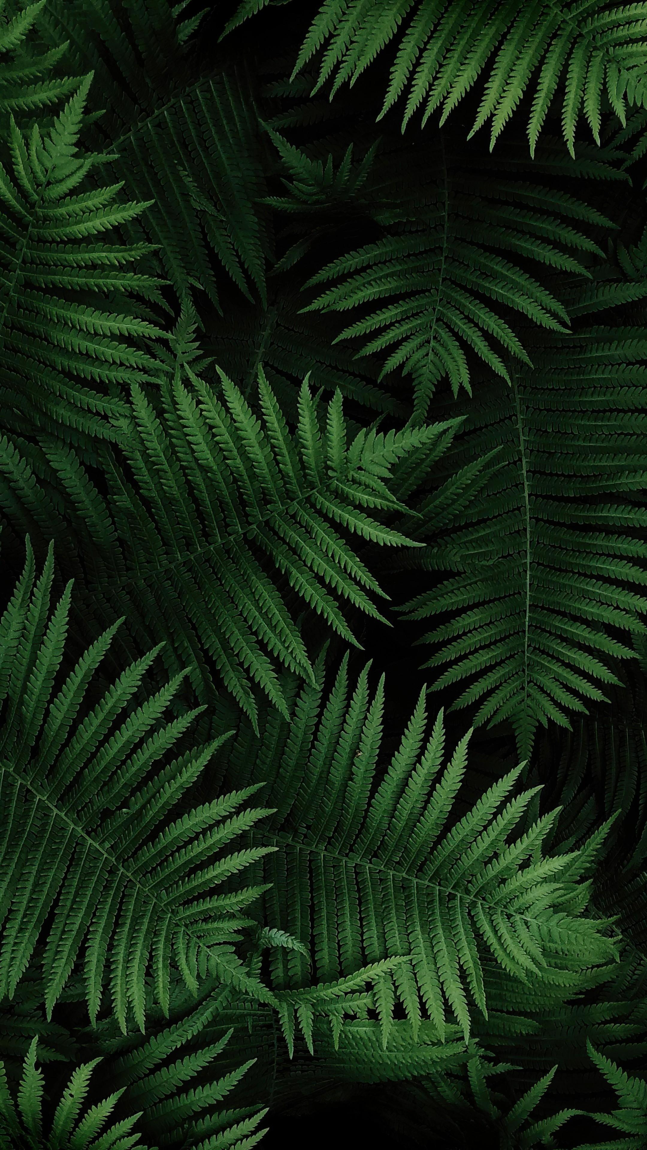 2160x3840 Wallpaper Sony Xperia 5 III, Android 4K, OS