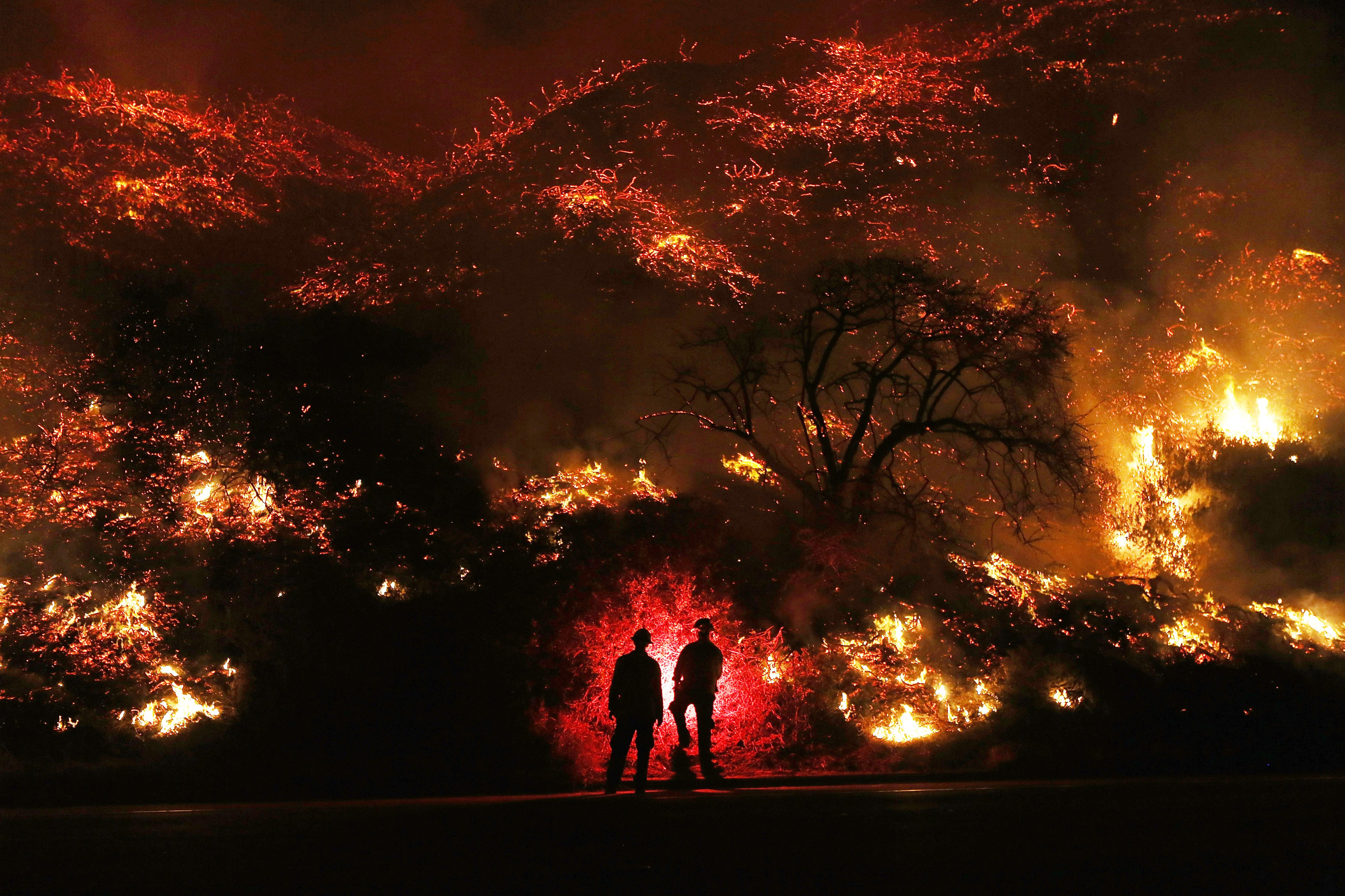 5394x3596 Wallpaper 4k Two Man Standing In Front Of Forest Fire Wallpaper