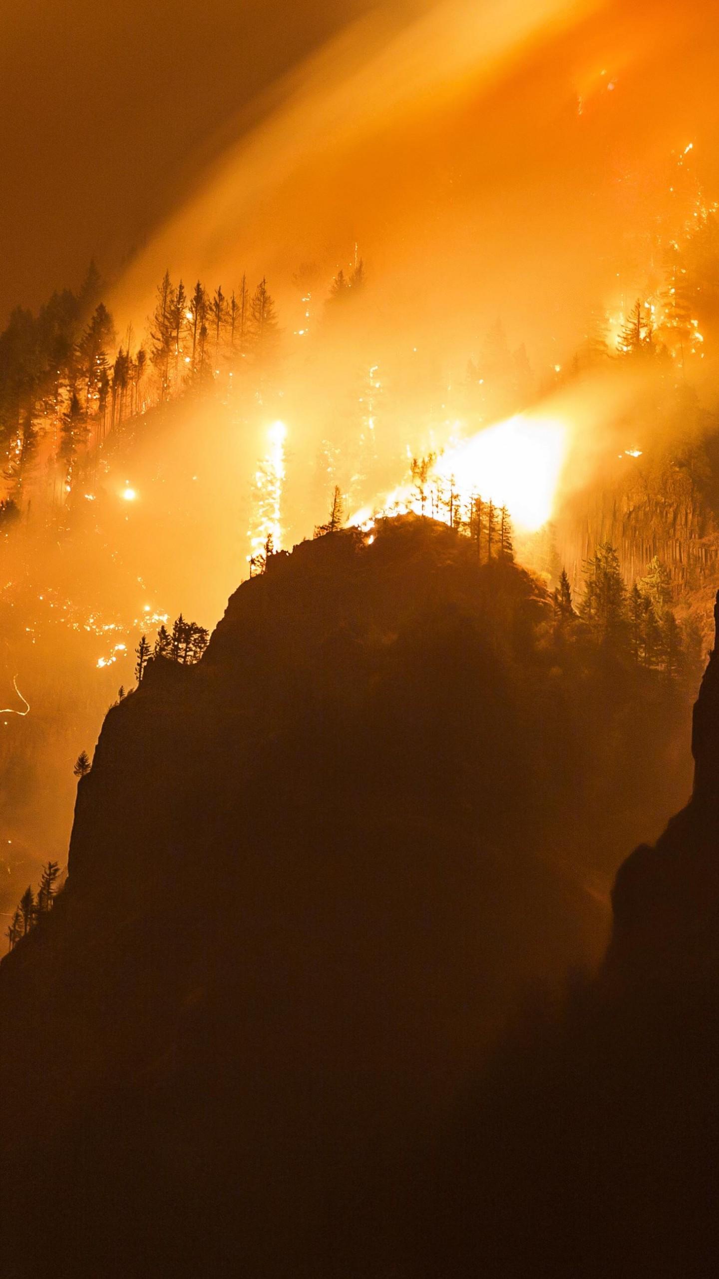 1440x2560 Wallpaper Columbia Gorge, forest, fire, 4k, Nature