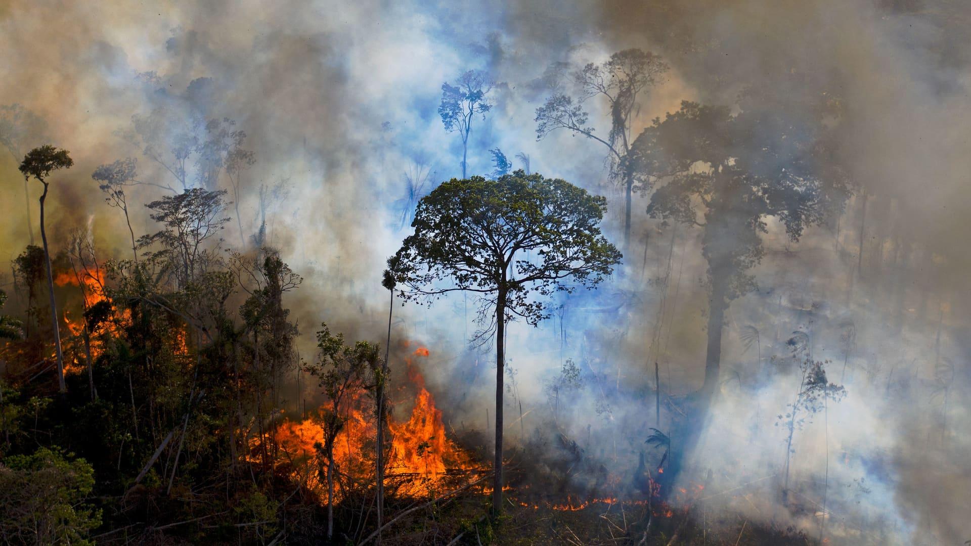1920x1080 Deforestation In Brazil's Amazon Rainforest Hits 15 Year High