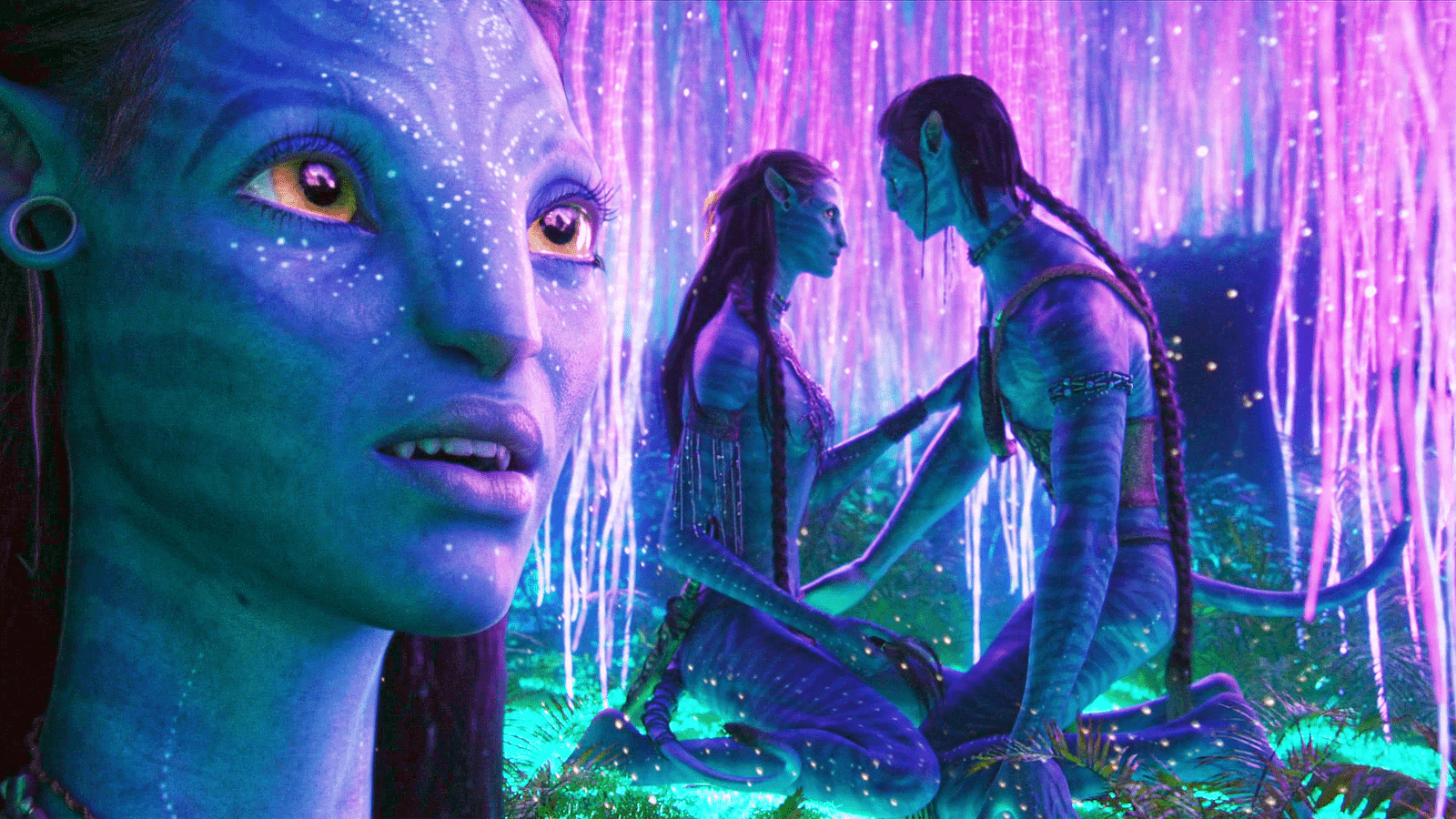 1600x900 Avatar Braid Brown Hair Glow Jake Sully Long Hair Na 039 Vi Nature Necklace Neytiri Avatar Tail Yell Wallpaper:1600x900