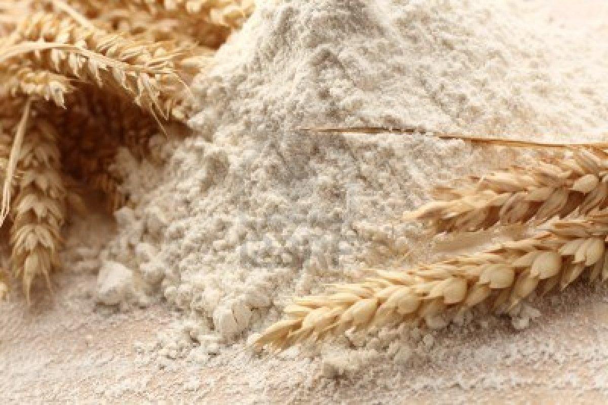 1200x801 Which flour to use for pizza, desserts and homemade pasta?