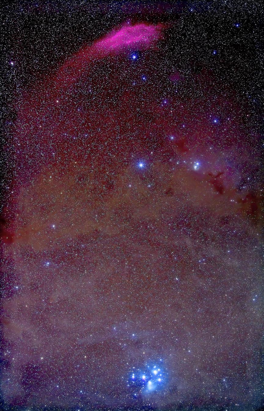 864x1344 pleiades star cluster
