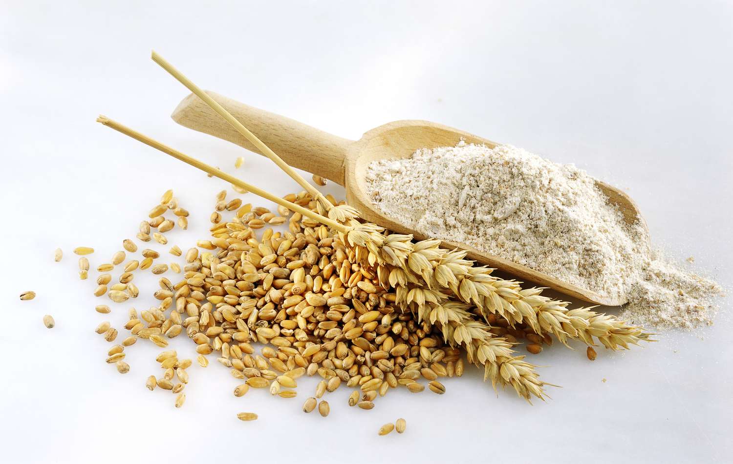 1500x950 Whole Wheat Flour vs. White Flour