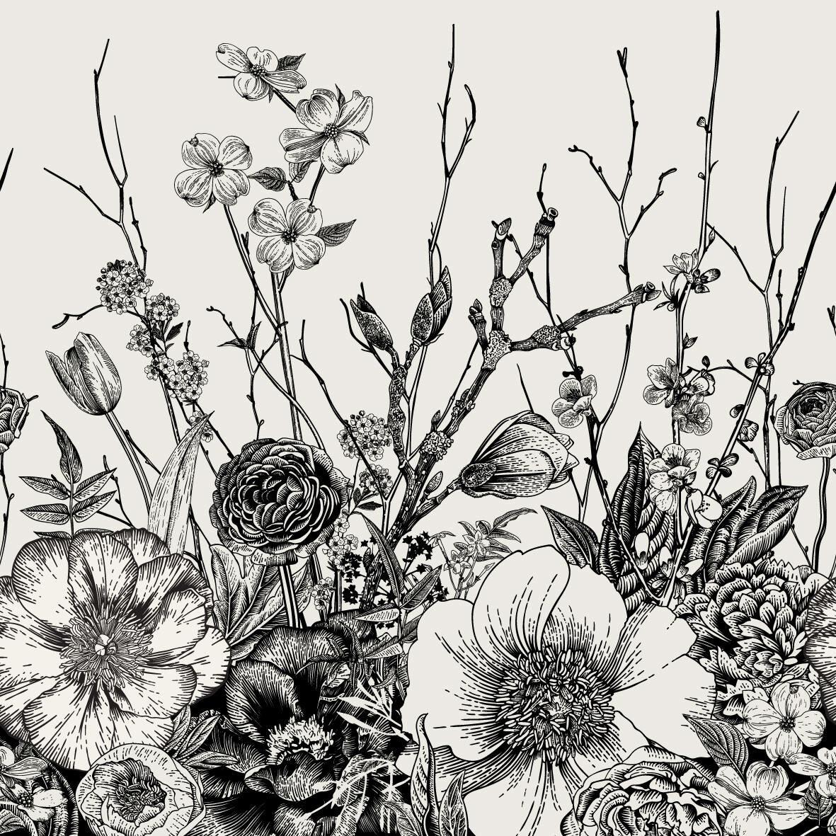 1181x1181 Bayou Breeze Bergman Peel & Stick Floral Wallpaper