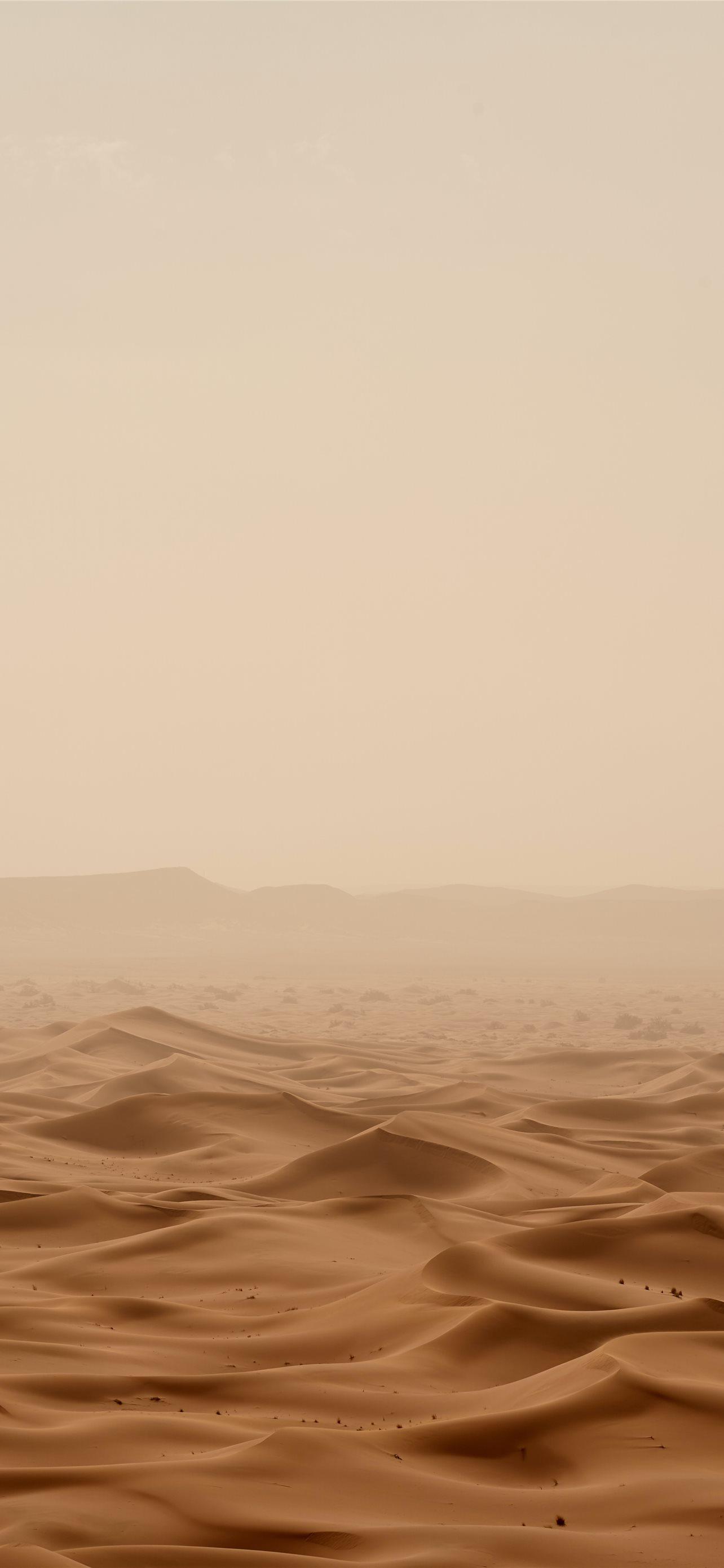 1284x2778 desert under white sky during daytime iPhone Wallpaper Free Download